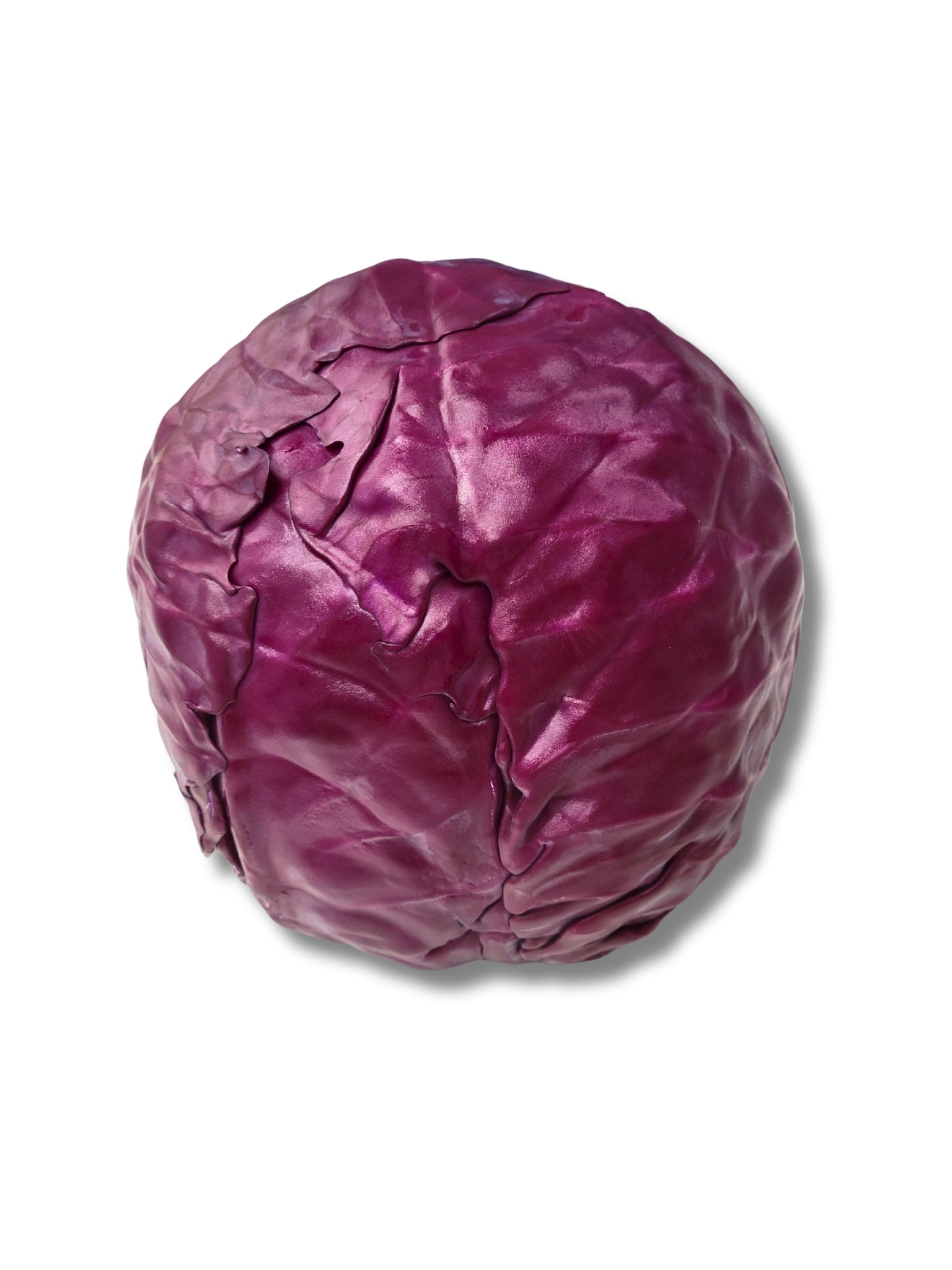 Red Cabbage