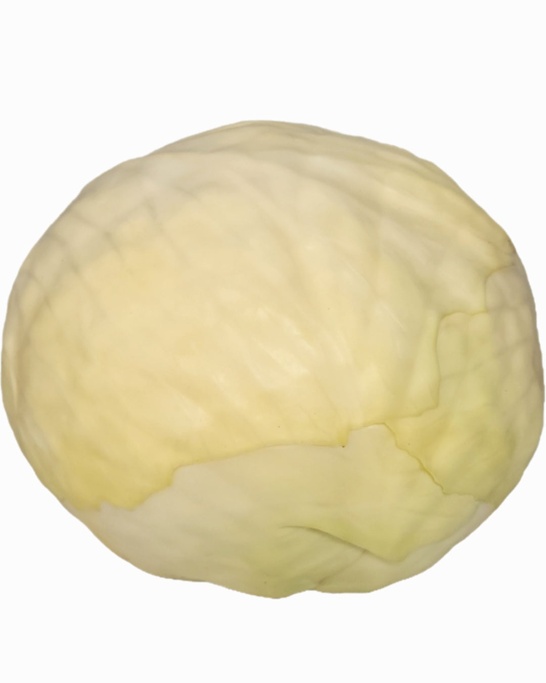 White Cabbage