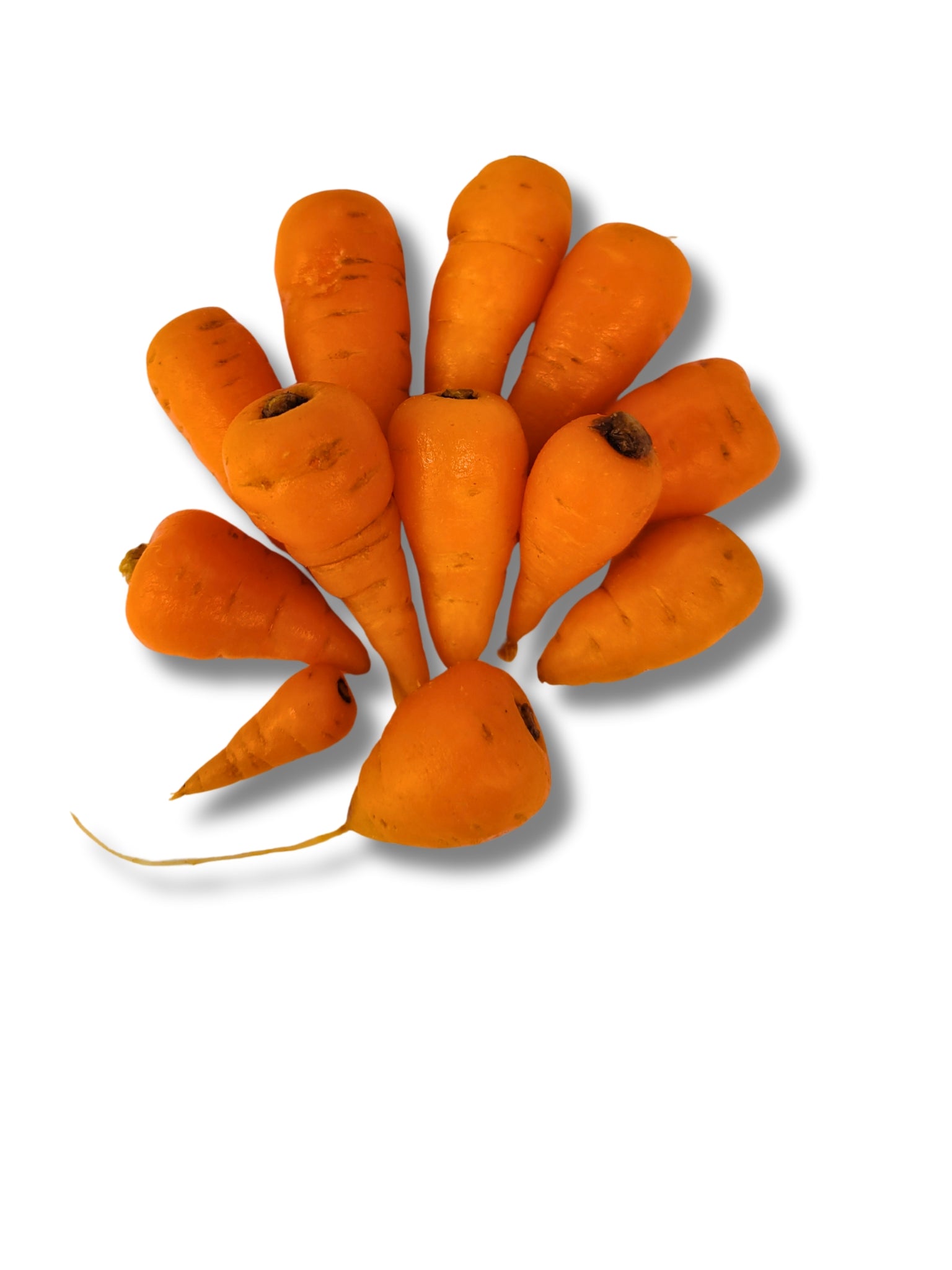 Chantenay Carrot