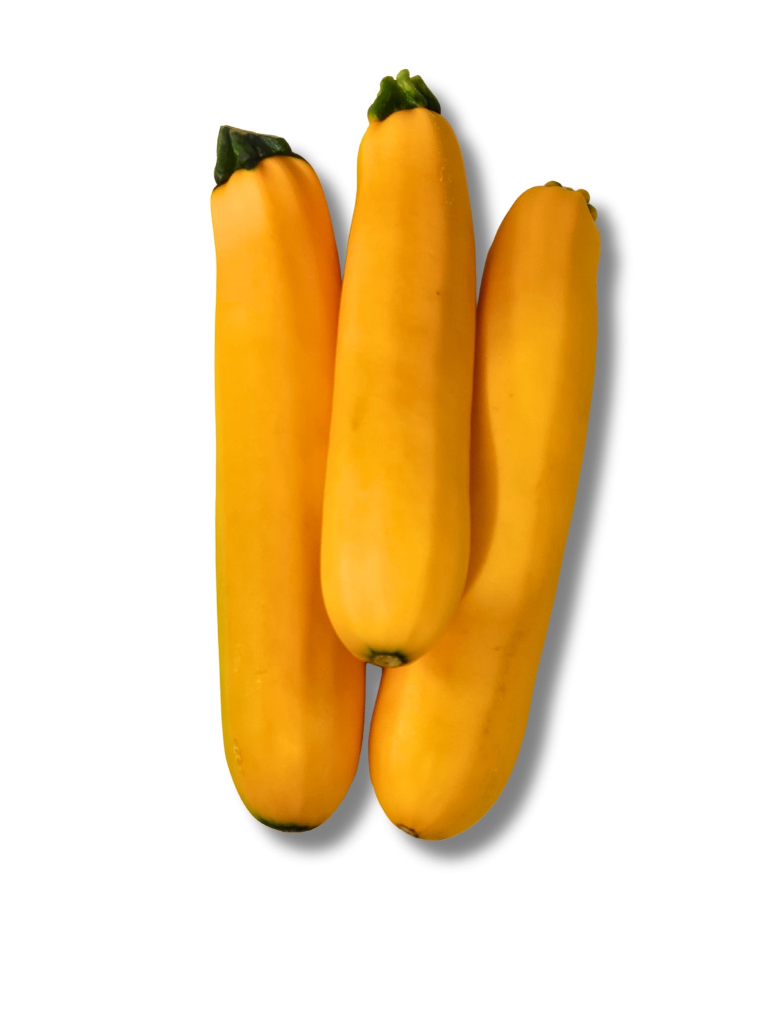 Yellow Courgette