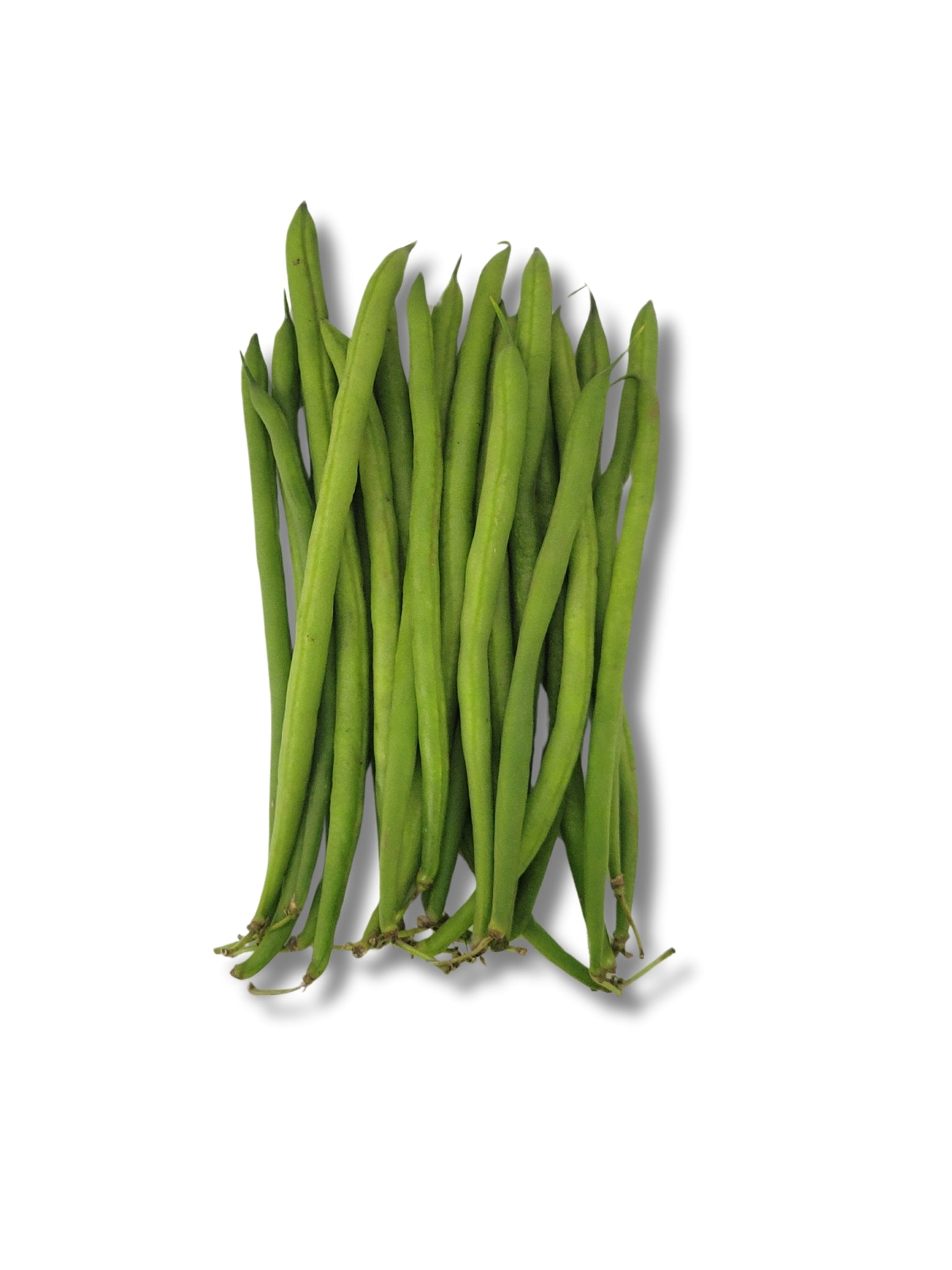 Fine Beans