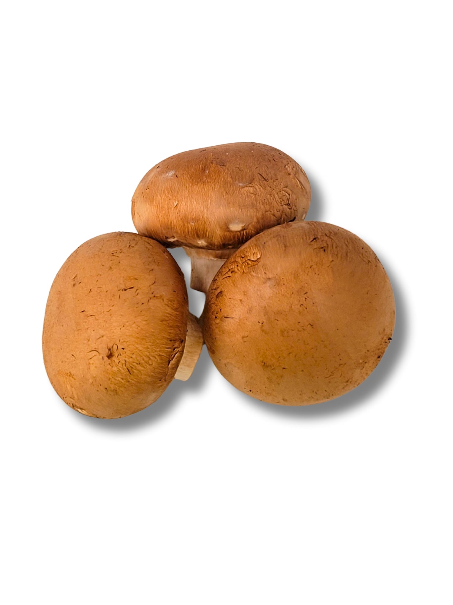 Chestnut Mushrooms