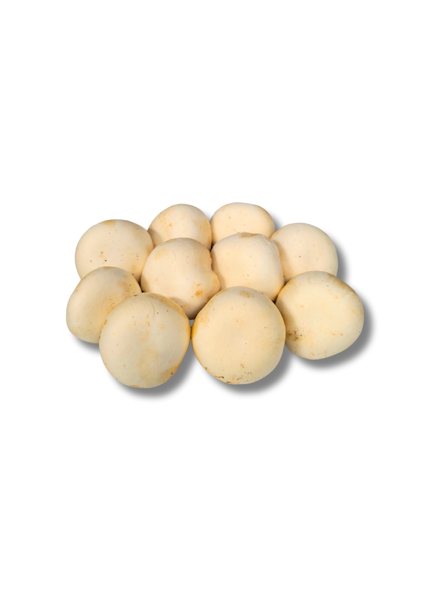 Cup Mushrooms