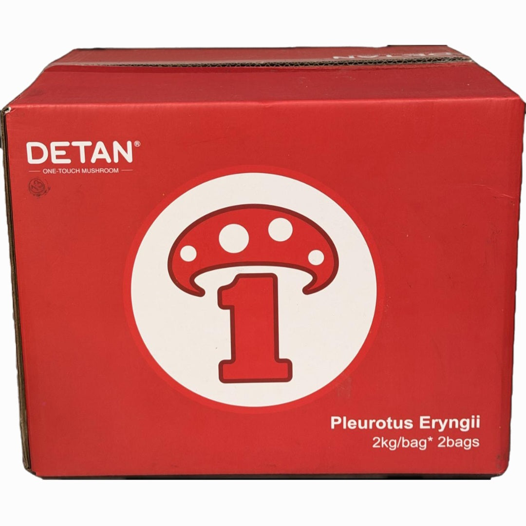 King Oyster Mushrooms (Eringi)