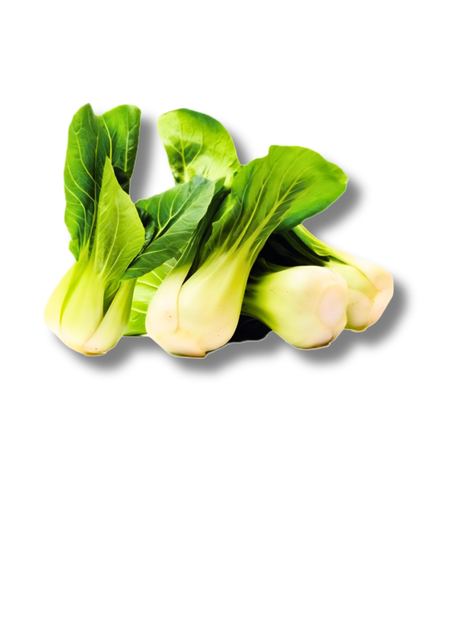 Pak Choi