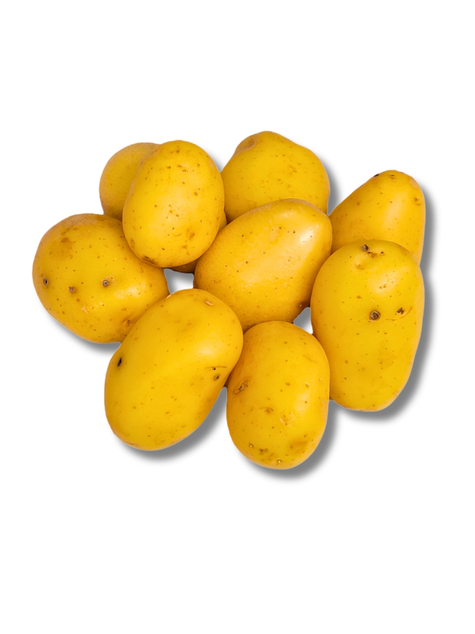 Baby New Potato - Mids