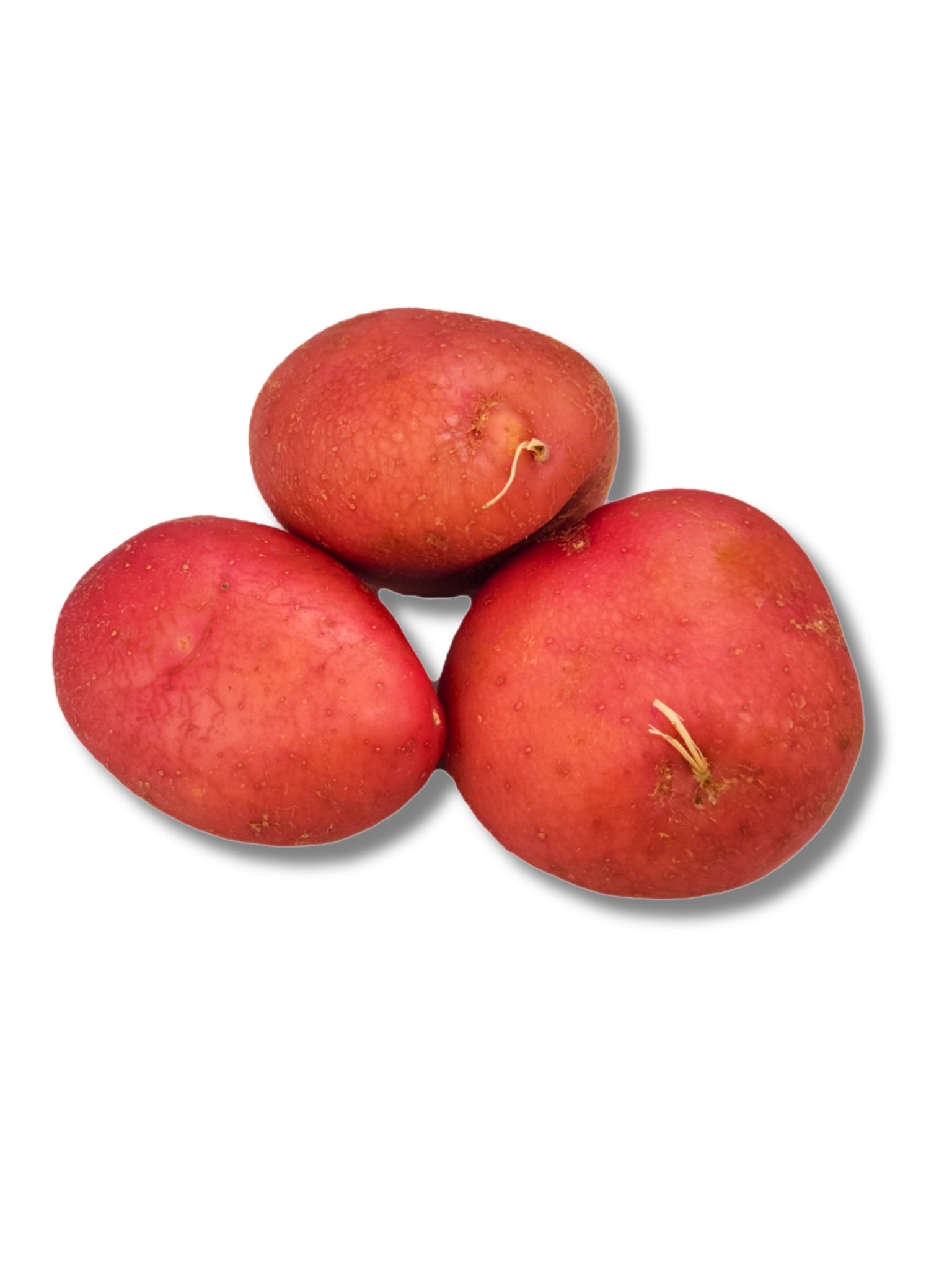 Red Rooster Potatoes