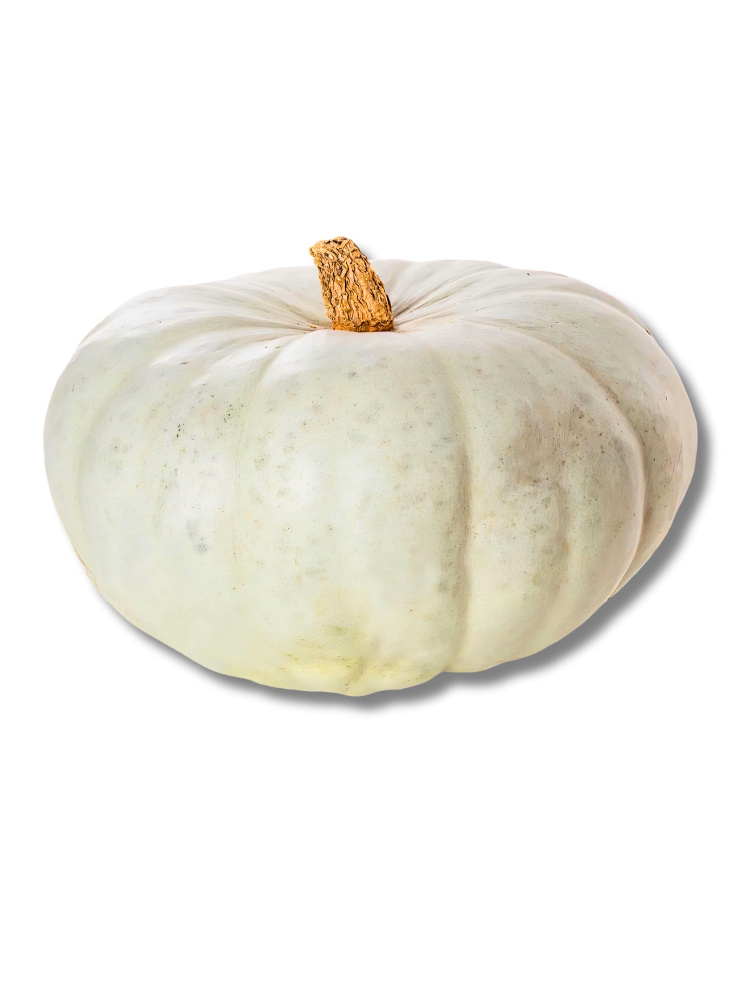 Prince Crown Pumpkin