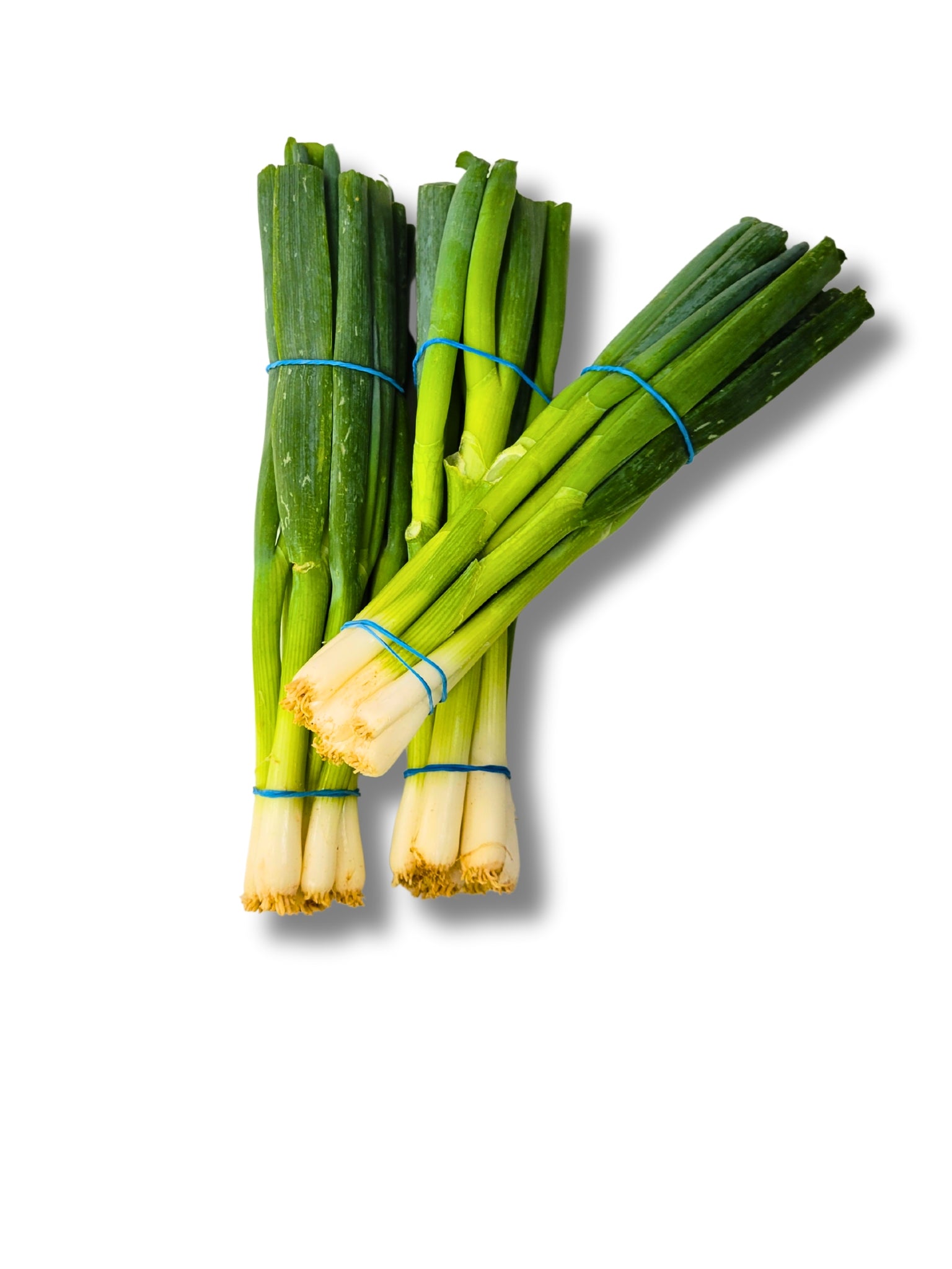 Spring Onion
