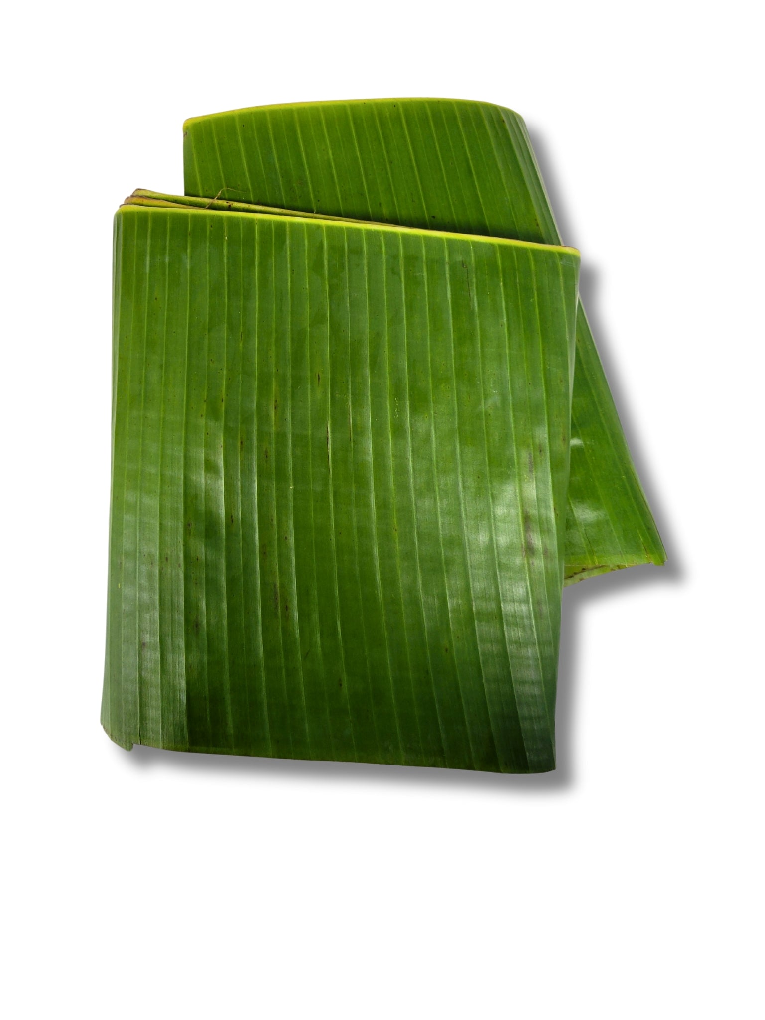 Banana Leaf