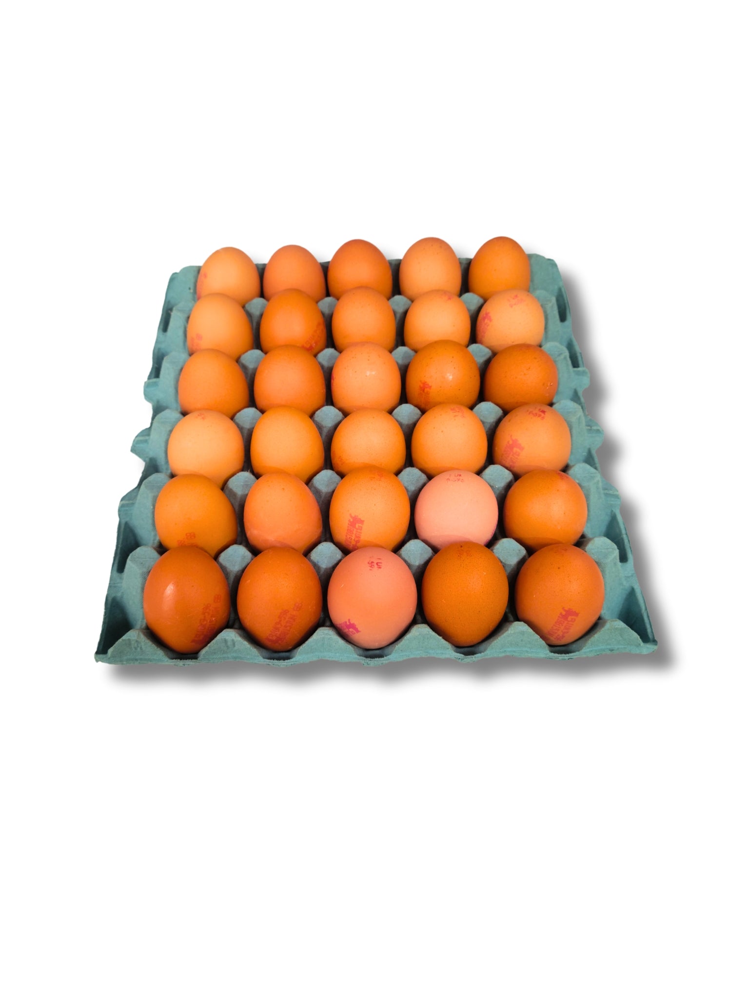 Eggs F/Range Lion Large