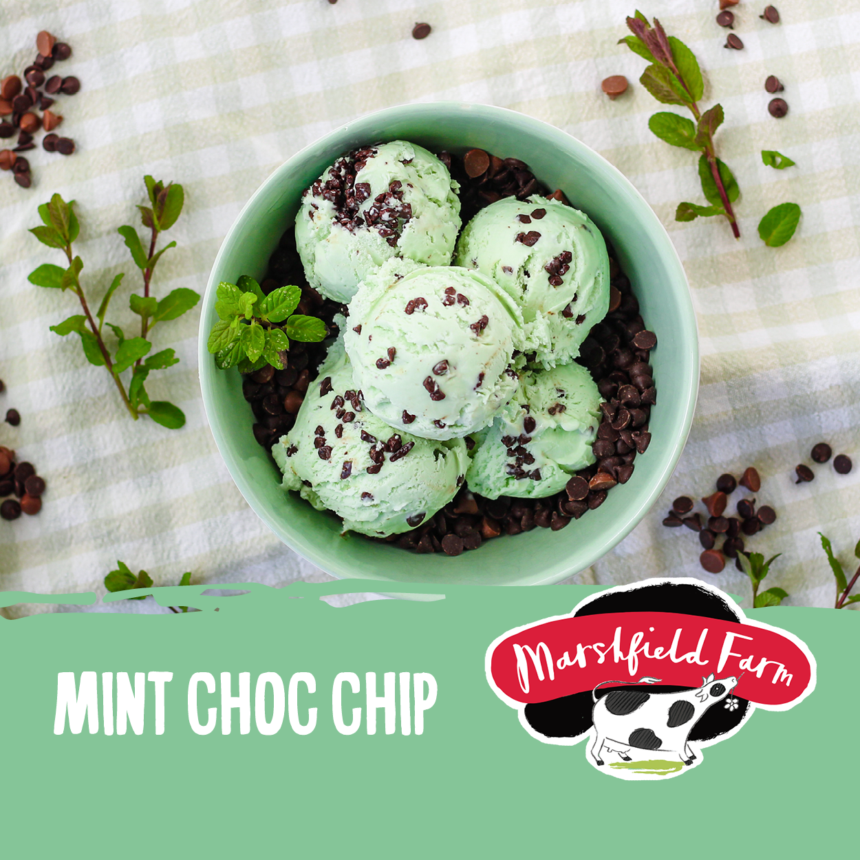 Ice Cream Marshfield Mint Choc Chip