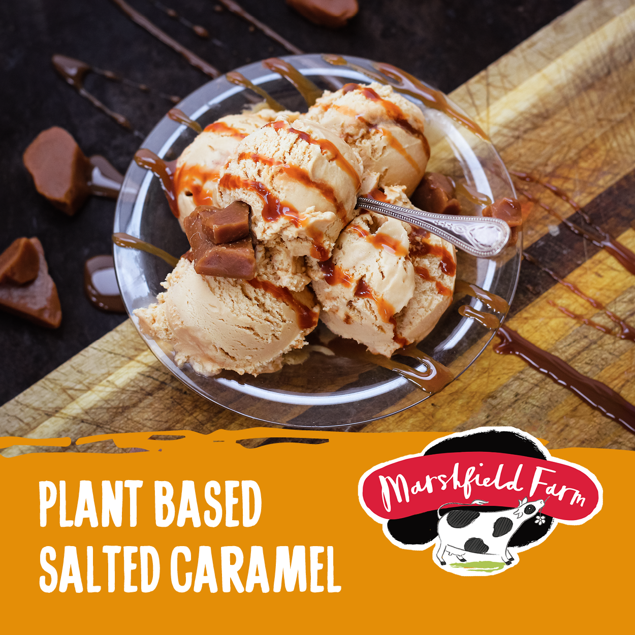 Ice Cream Marshfield Plant Based SaltCar