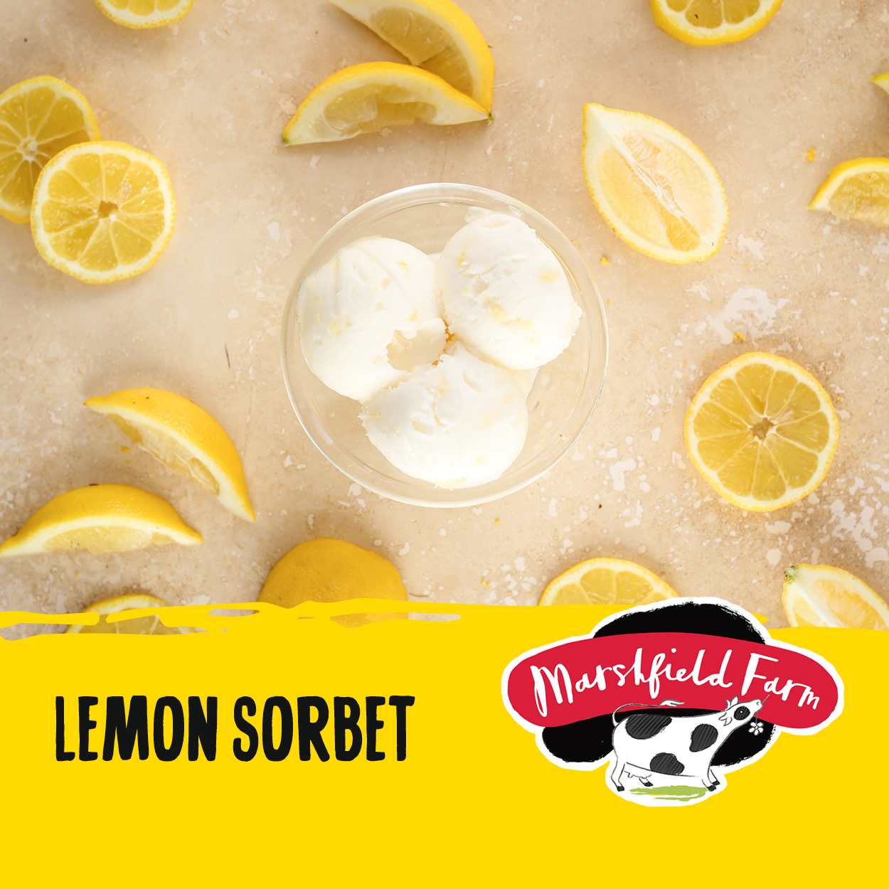 Ice Cream Marshfield Lemon Sorbet