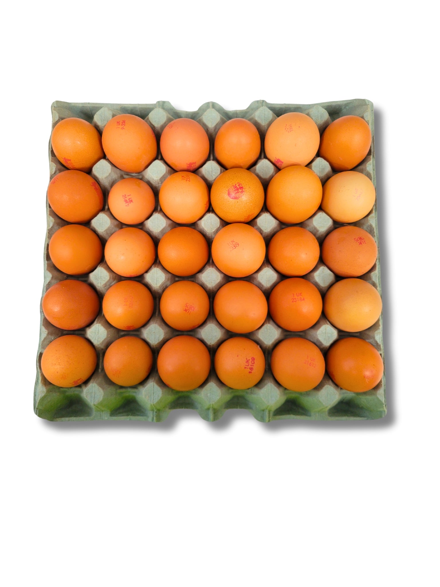 Eggs F/Range Lion Medium
