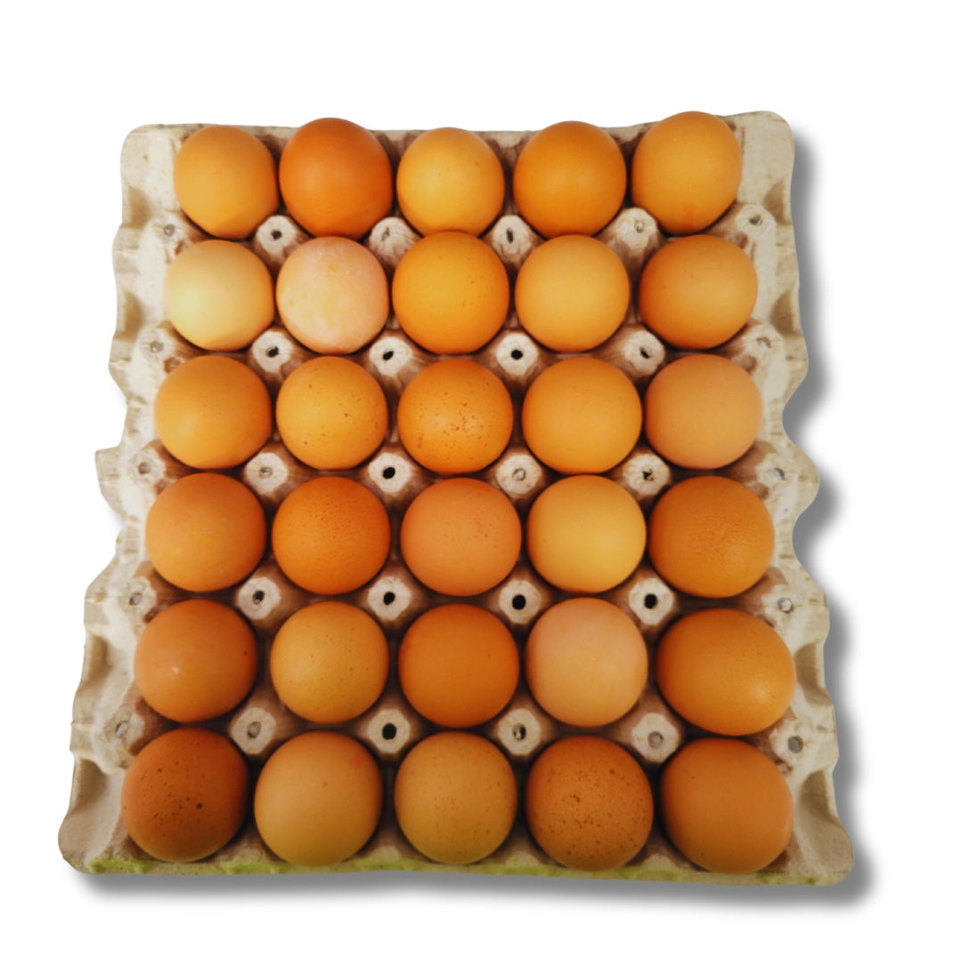 Eggs Keyes Large