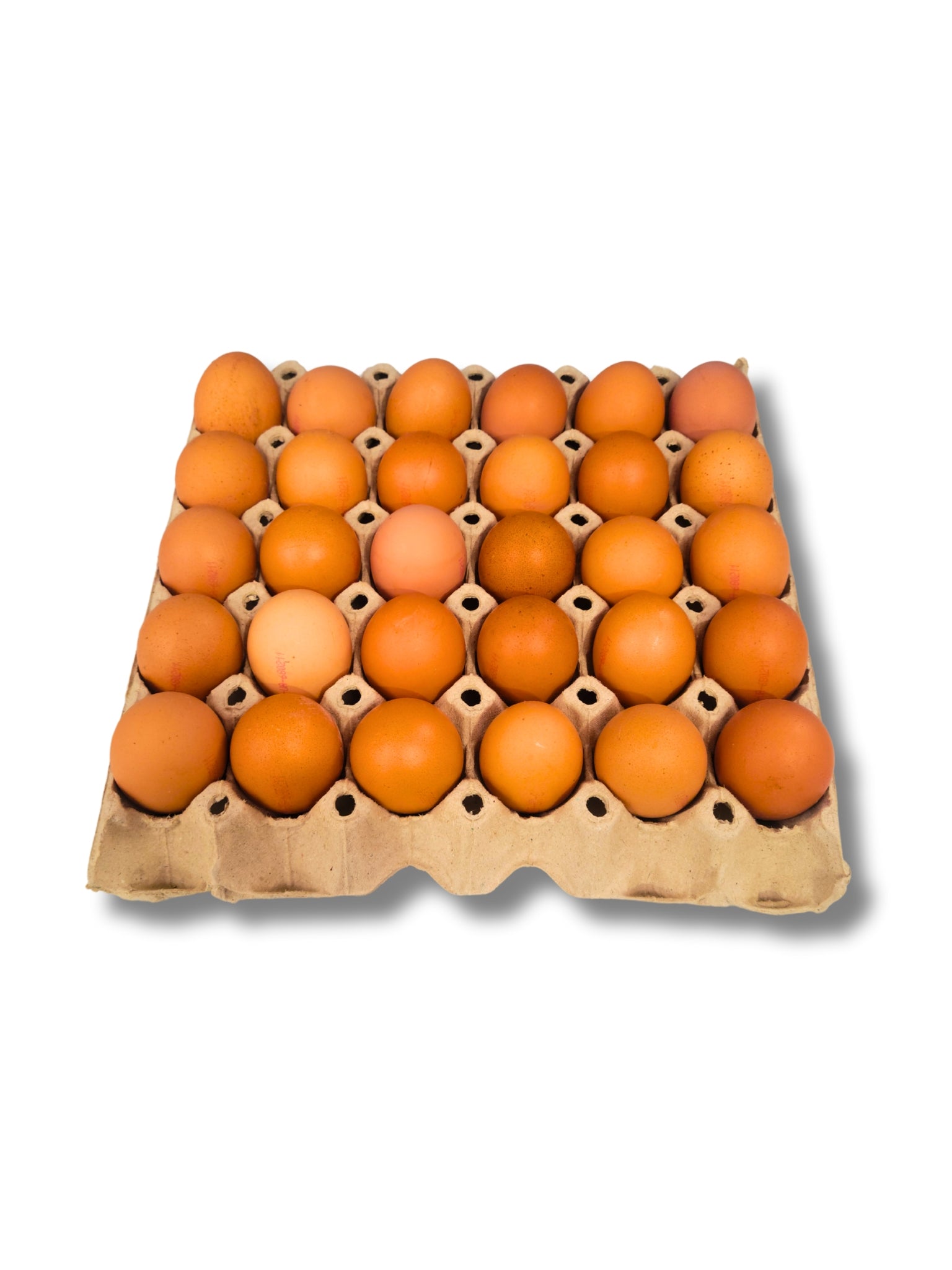 Eggs Keyes Medium