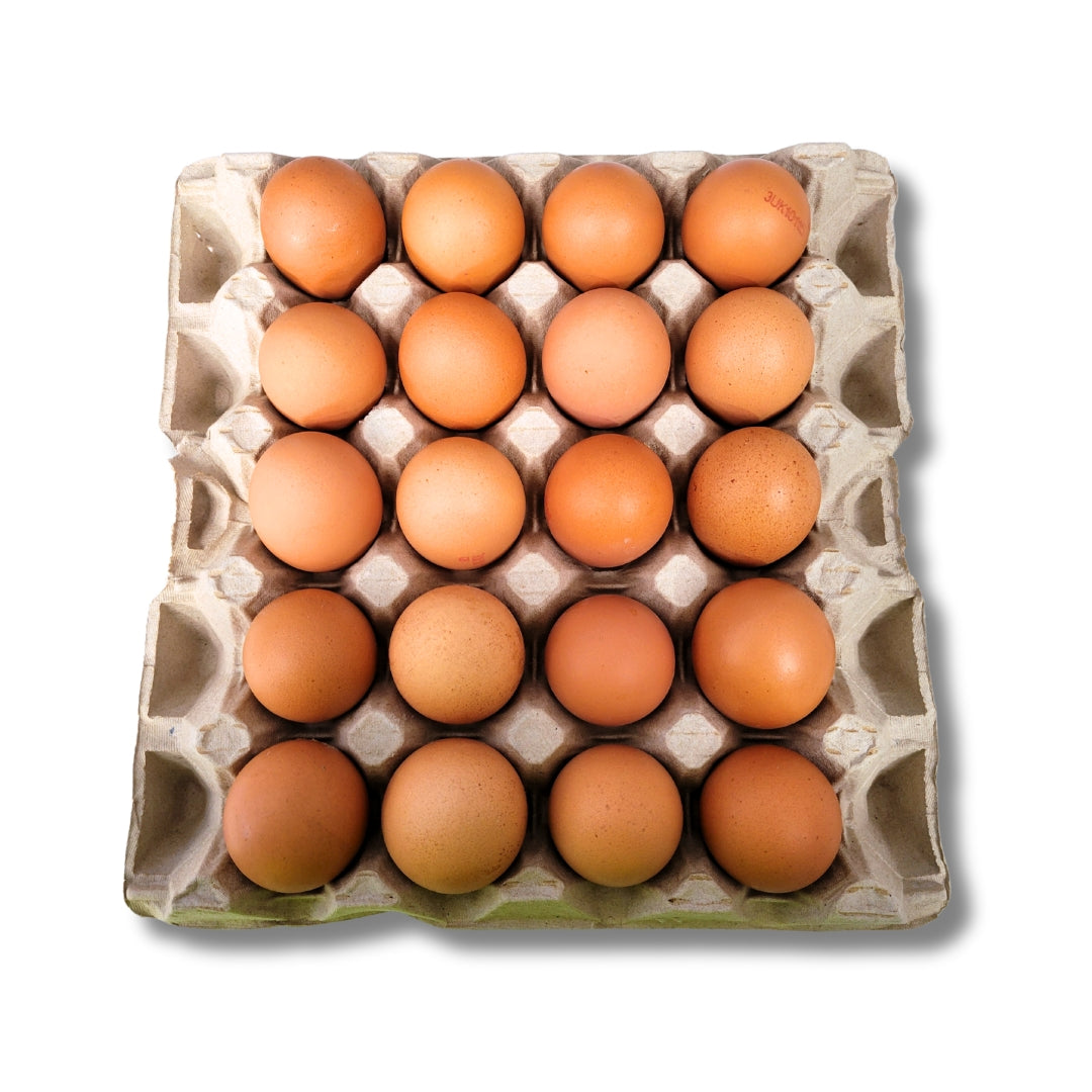 Eggs Very Large