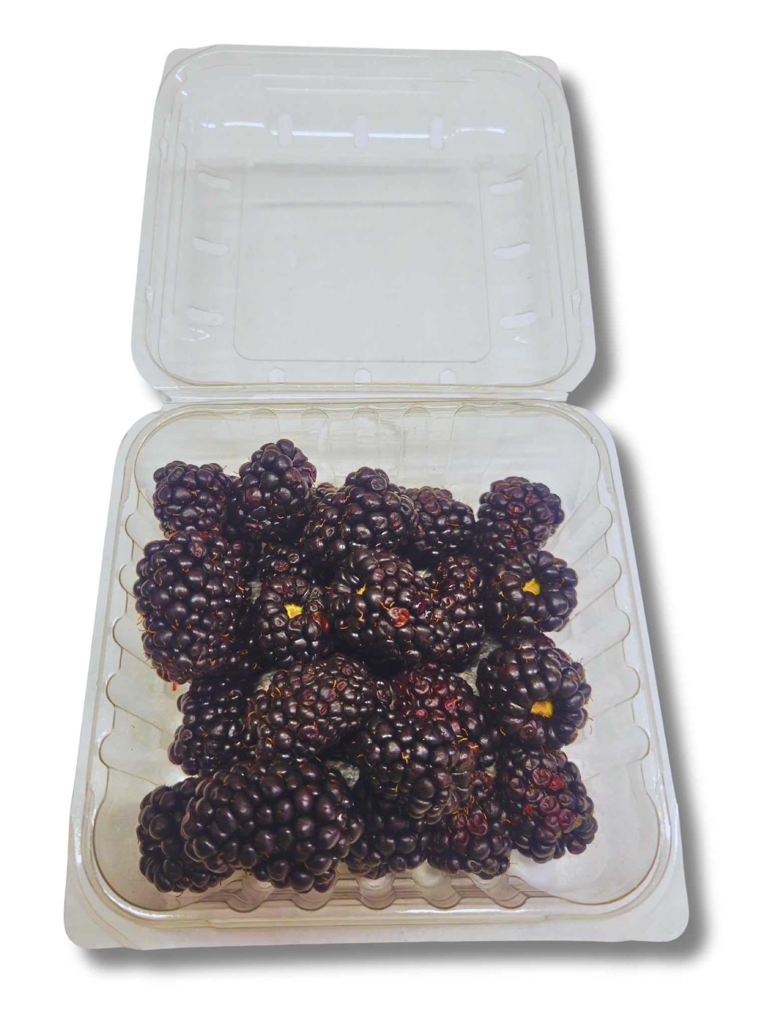 Fresh Blackberries