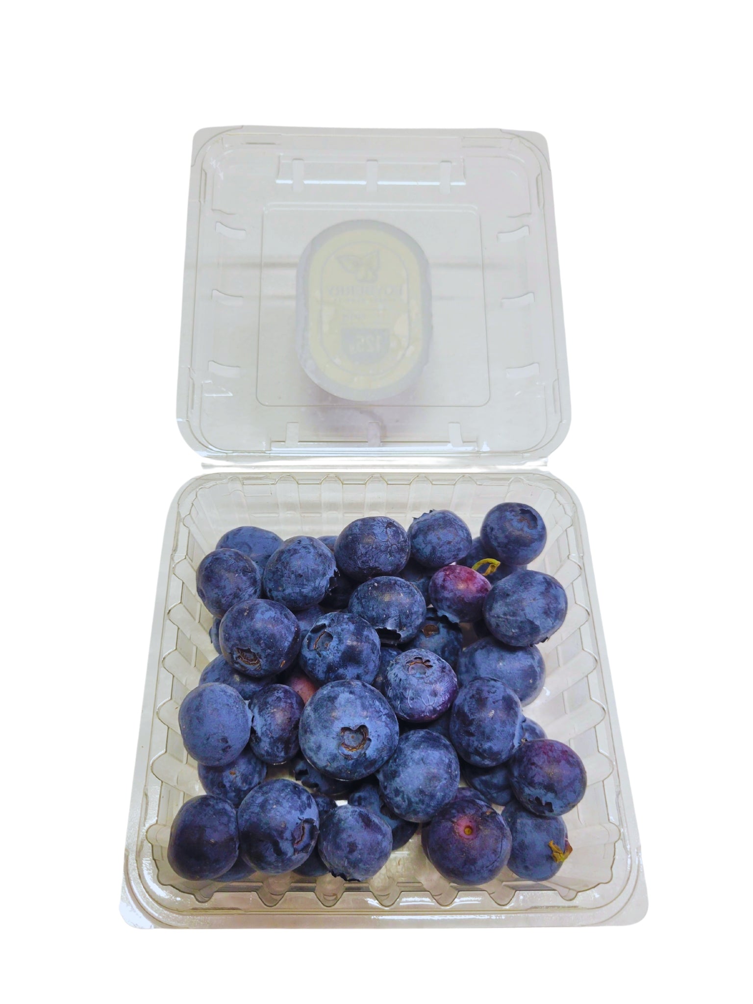 Fresh Blueberries