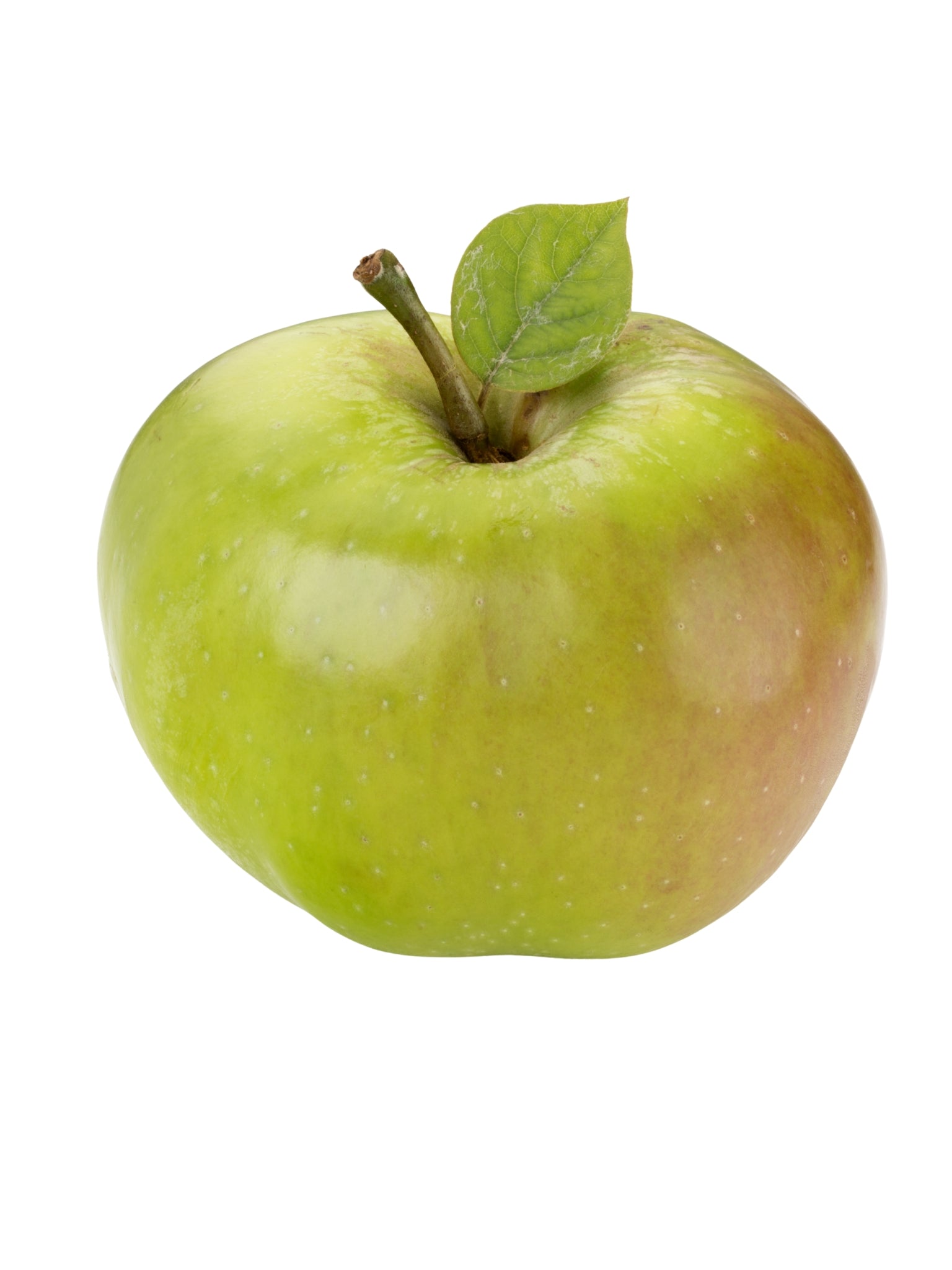 Bramley Cooking Apple