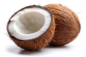 Coconut