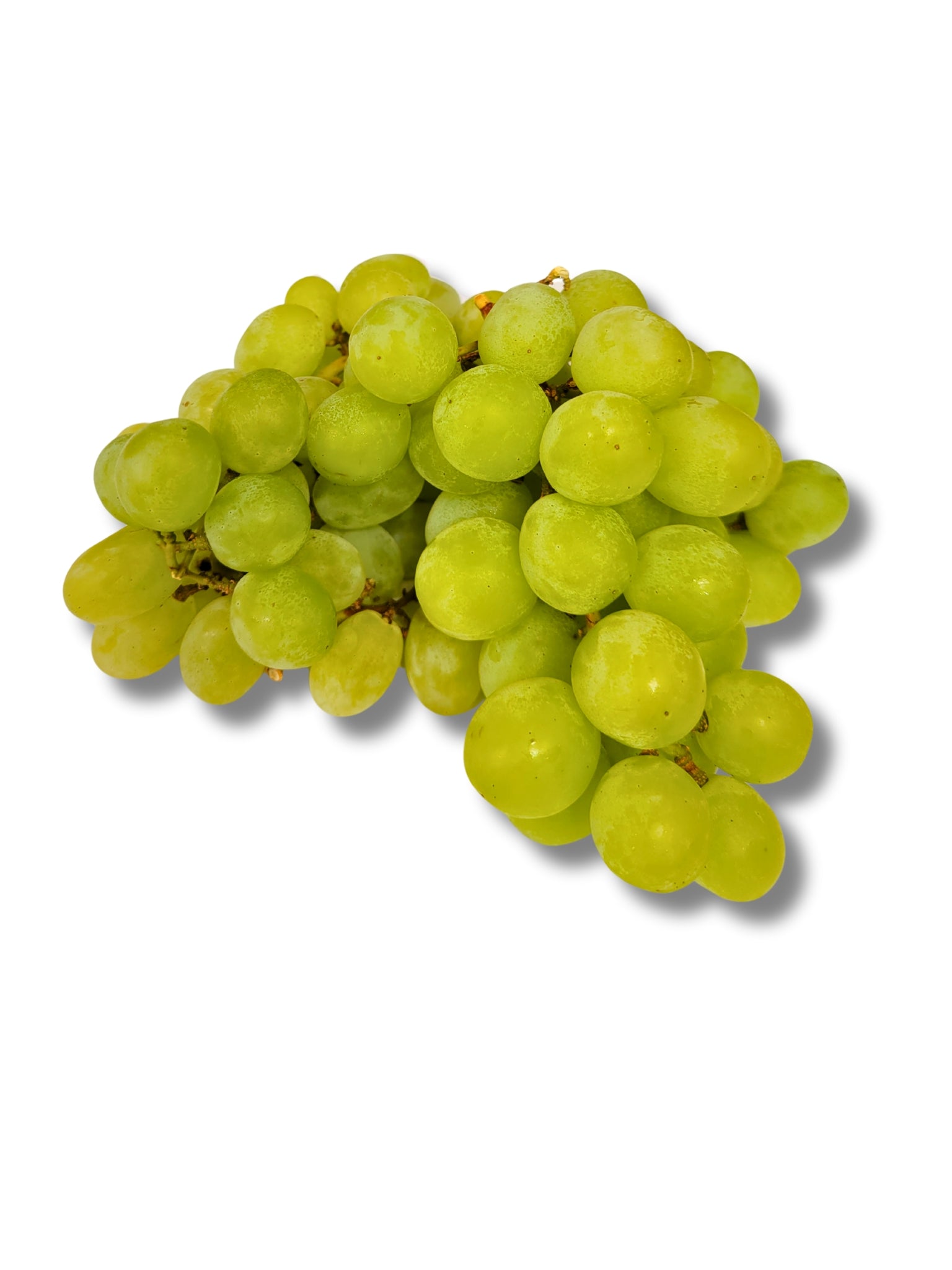 White Seedles Grapes
