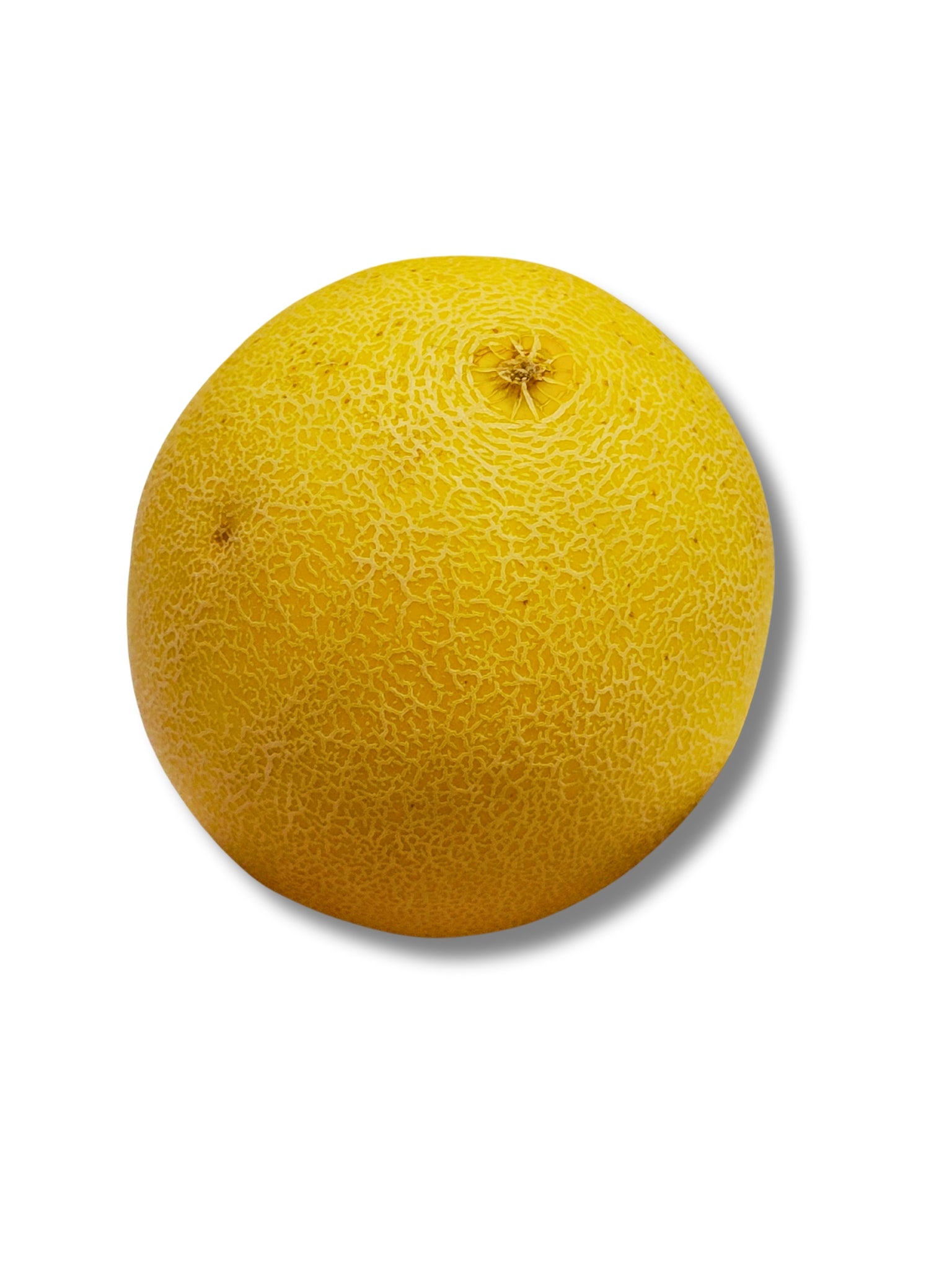 Galia Melon
