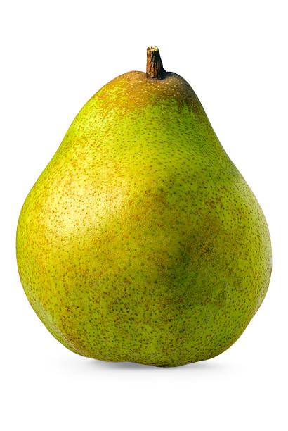 Pear Comice