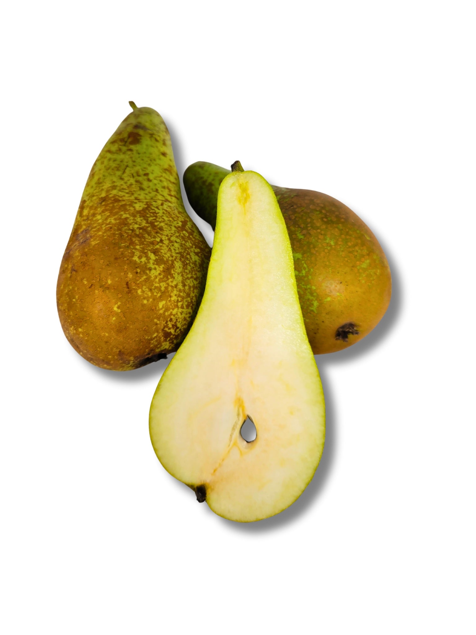 Conference Pear
