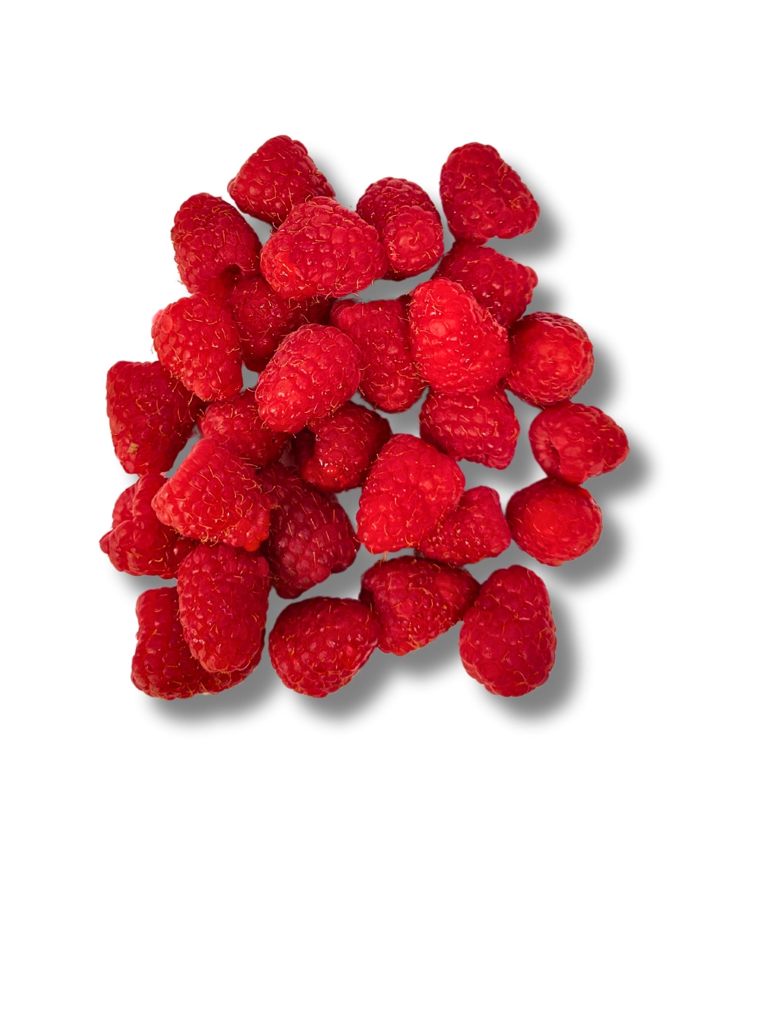 Fresh Raspberries