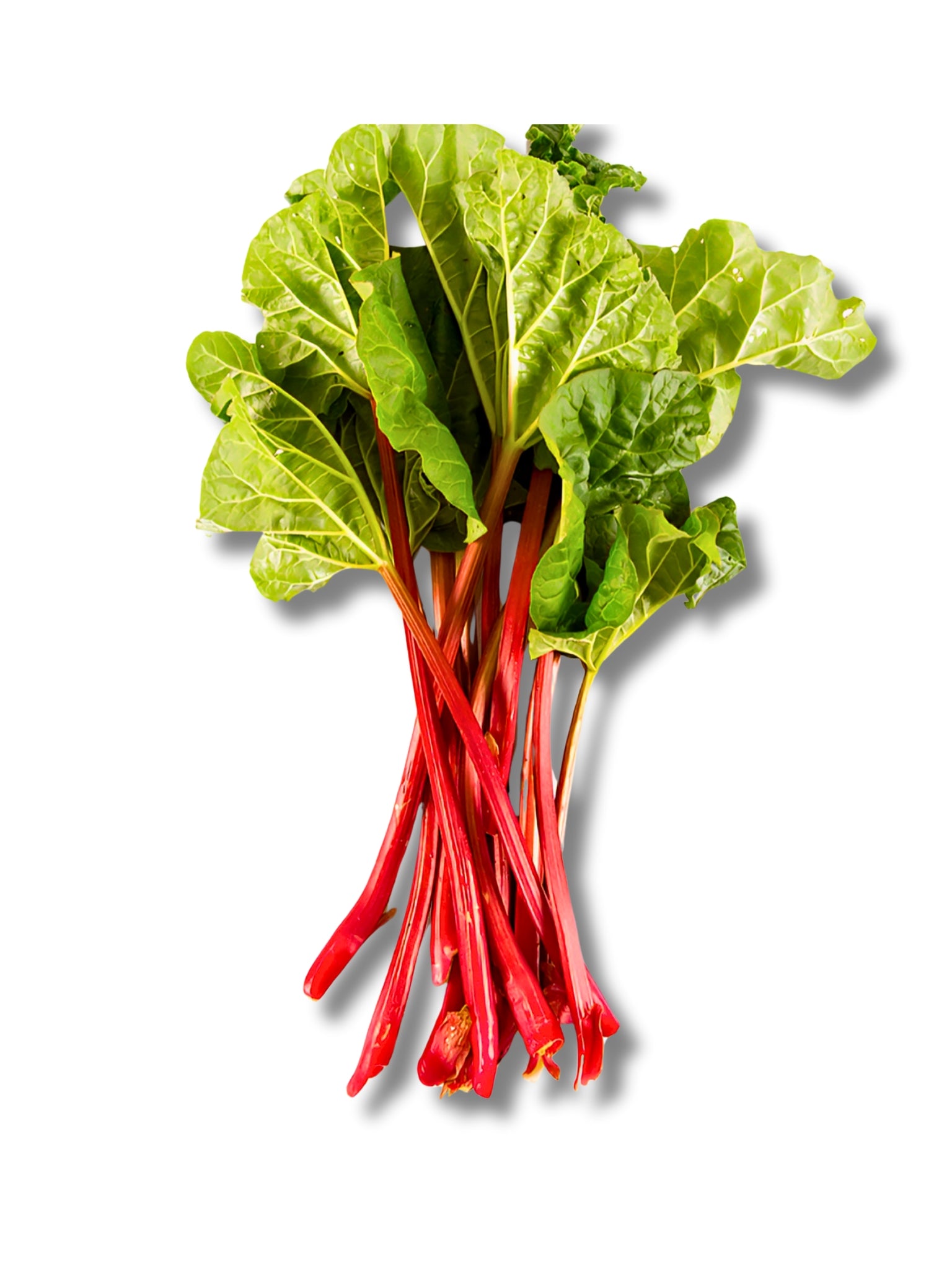 Rhubarb