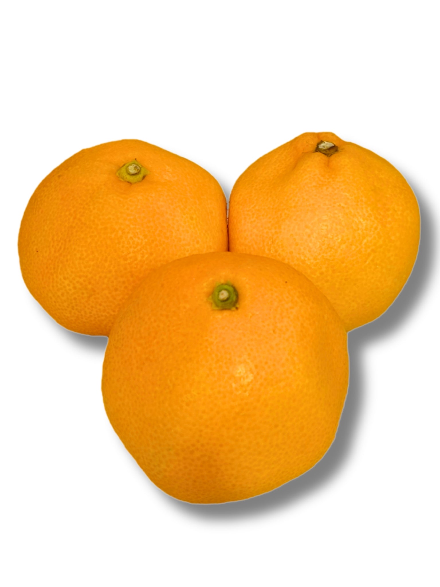 Satsuma