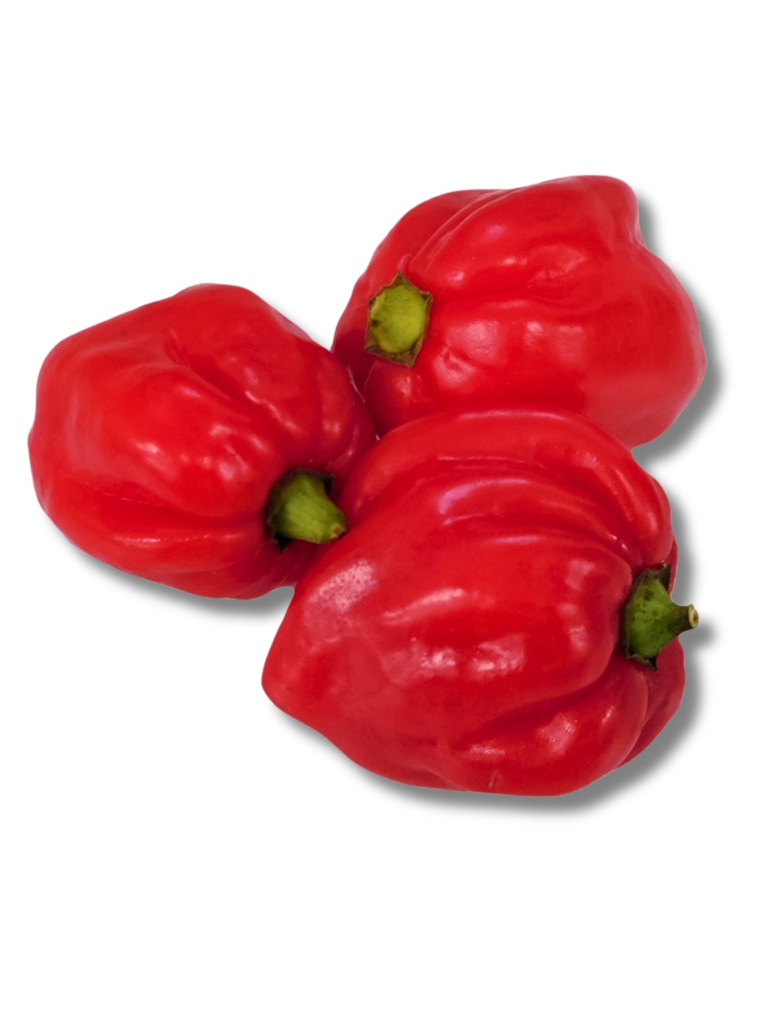 Chillies Habenero