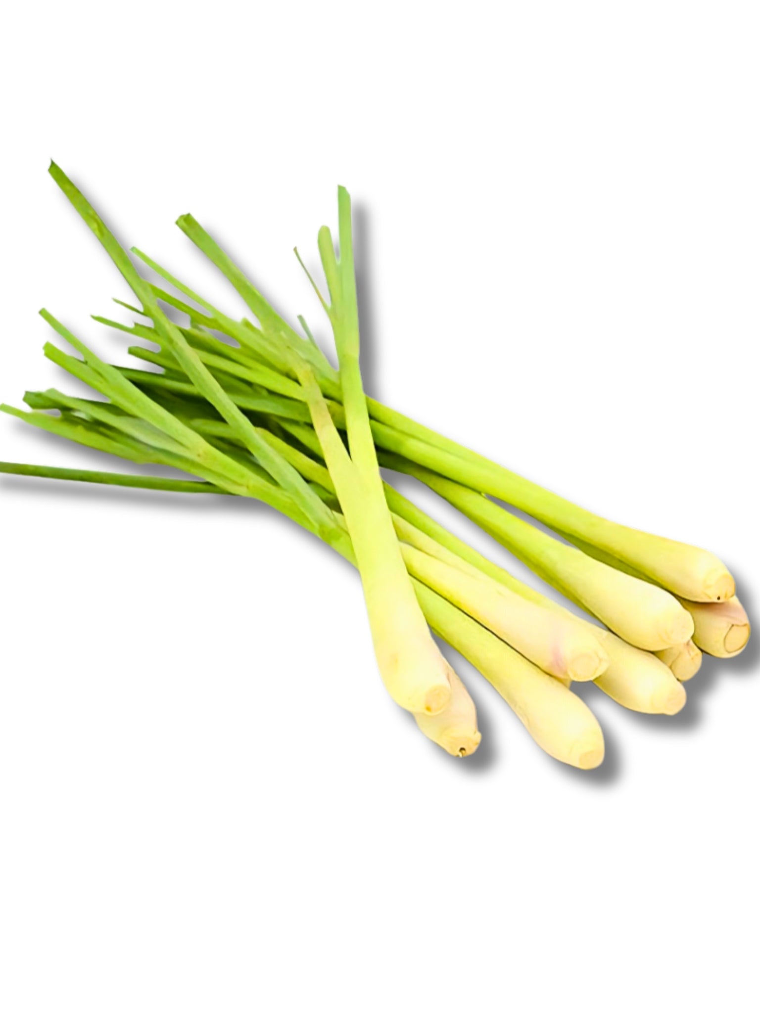 Lemongrass