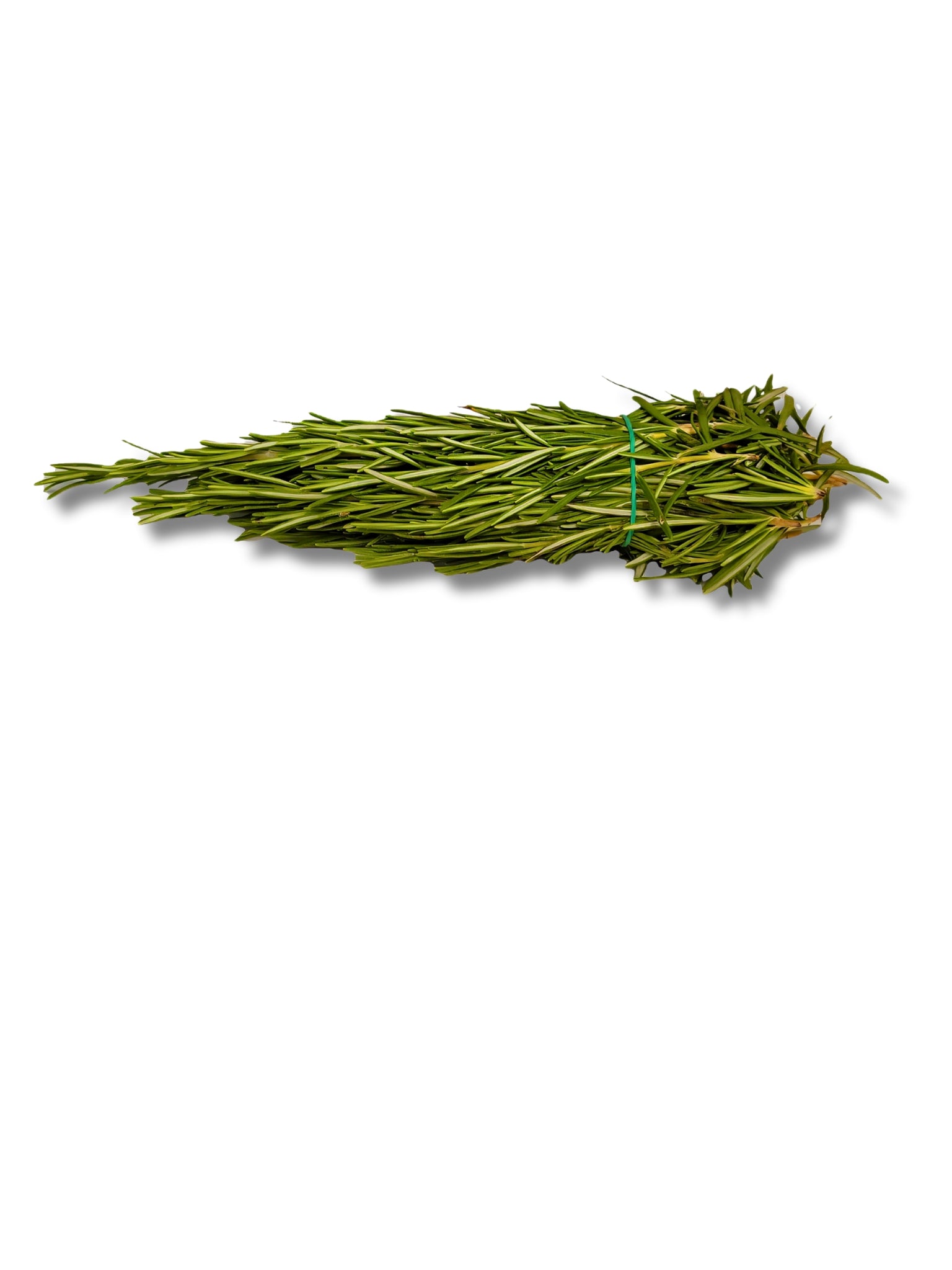 Fresh Rosemary