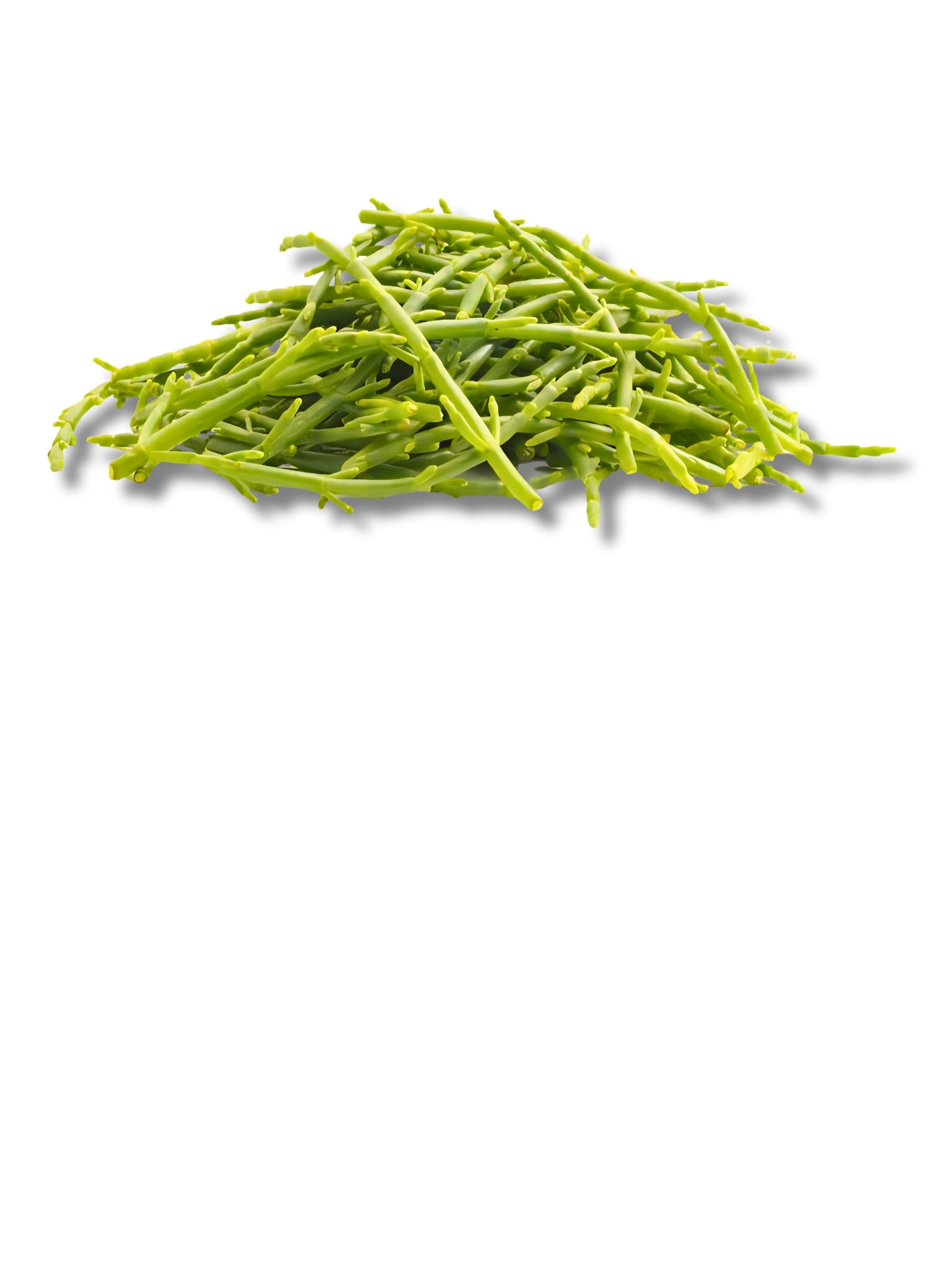 Samphire