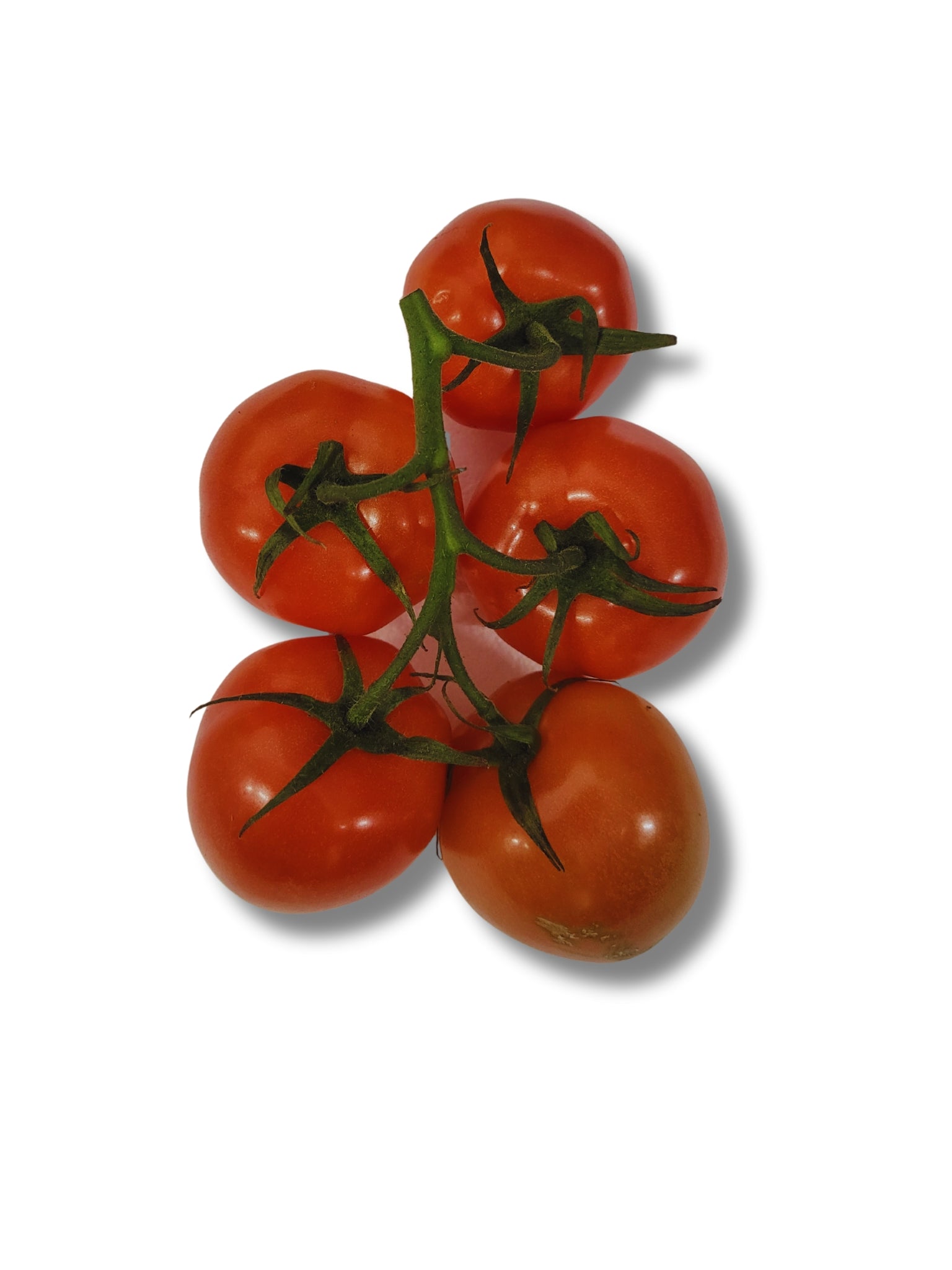 Cherry Vine Tomato