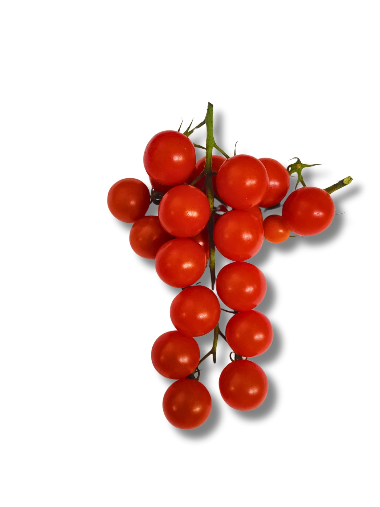 Fresh Plum Vine Tomato