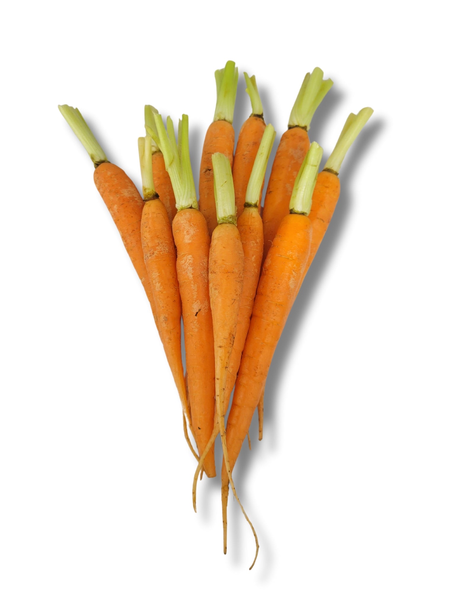 Baby Carrots per bunch