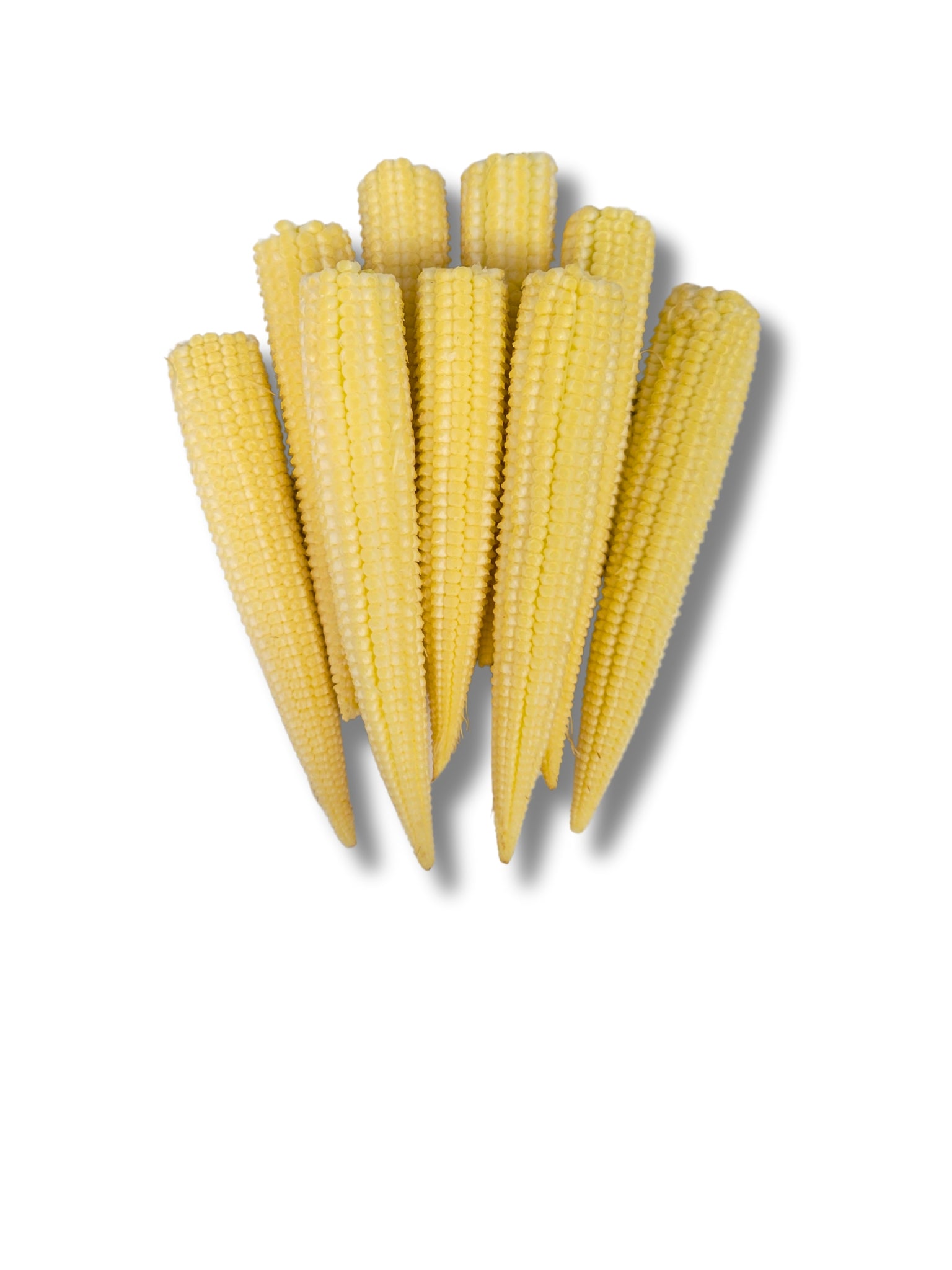 Baby Corn