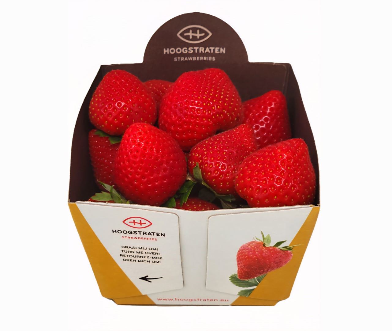 Fresh Strawberries