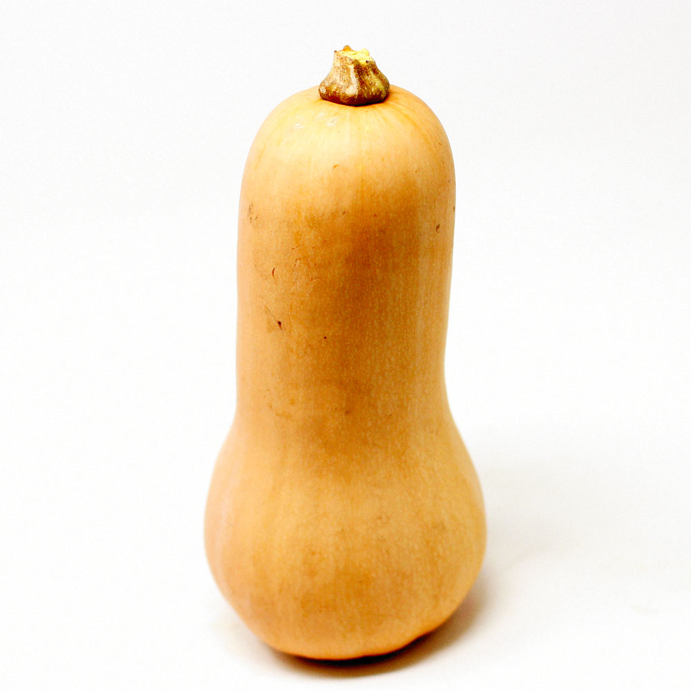 Butternut Squash 1kg Sunharvest Ltd