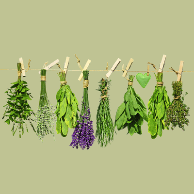 Fresh Herbs