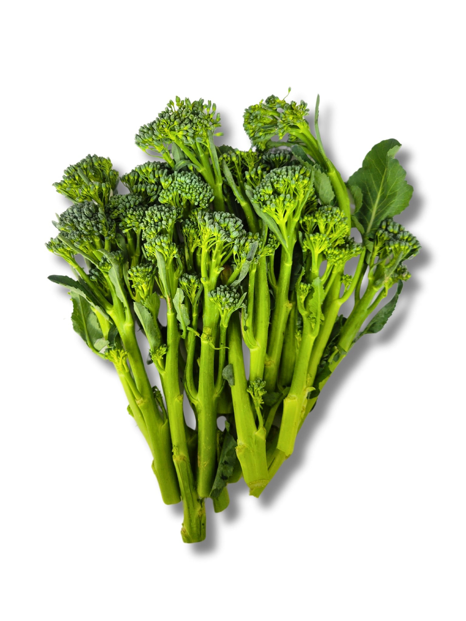 Broccoli Tenderstem