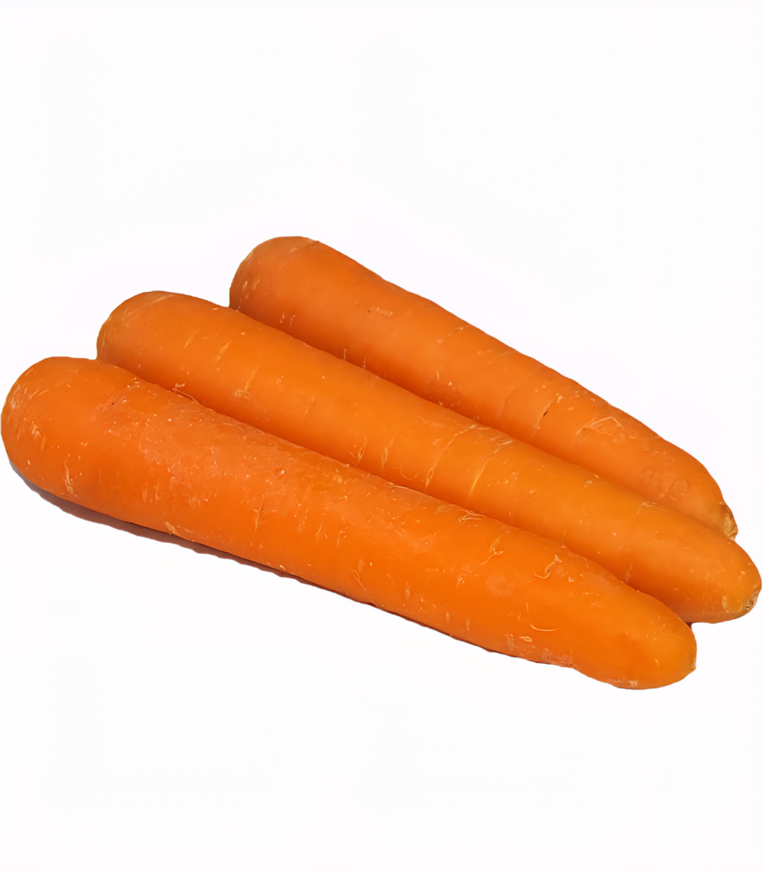 Carrot