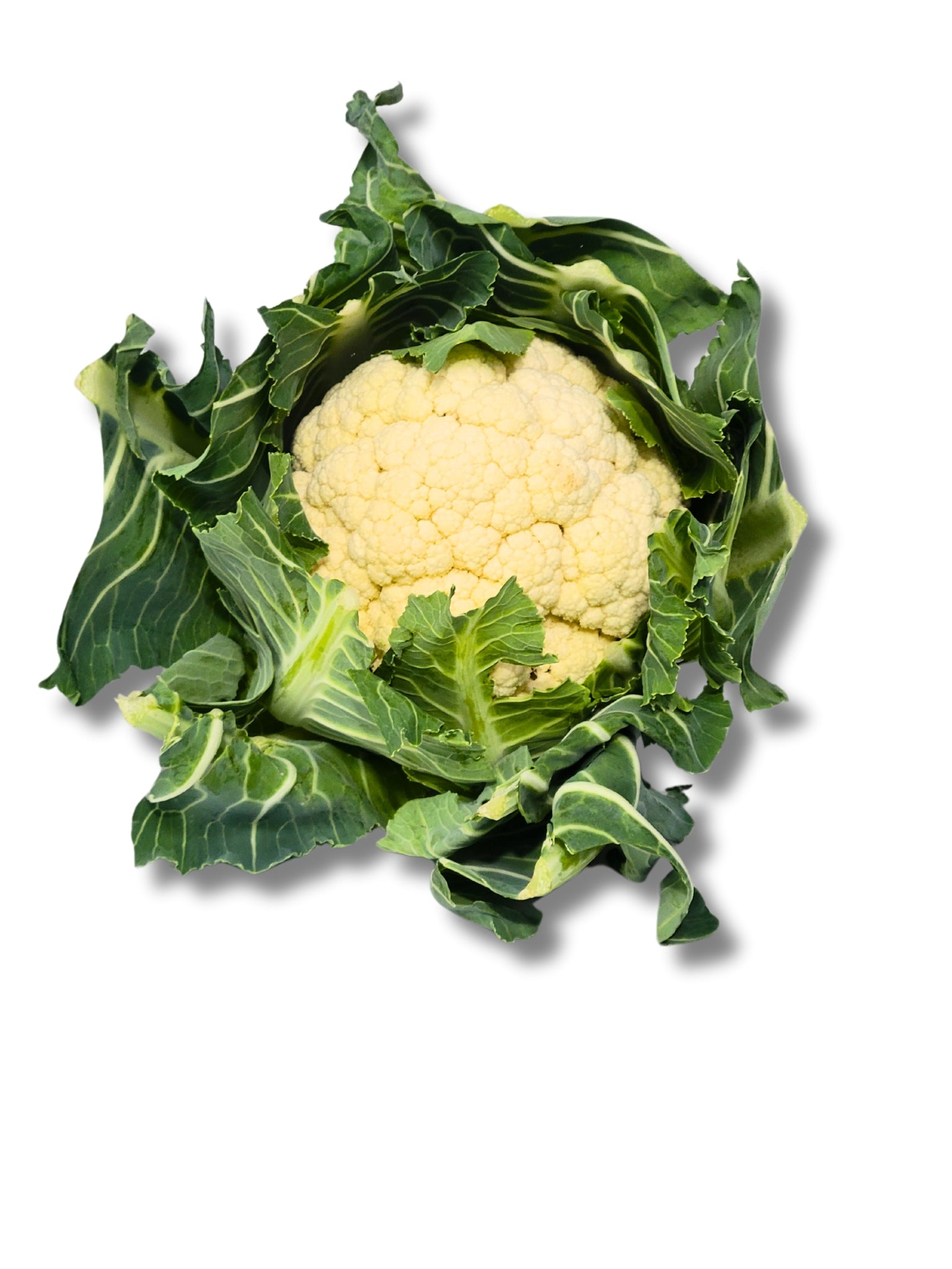 Cauliflower