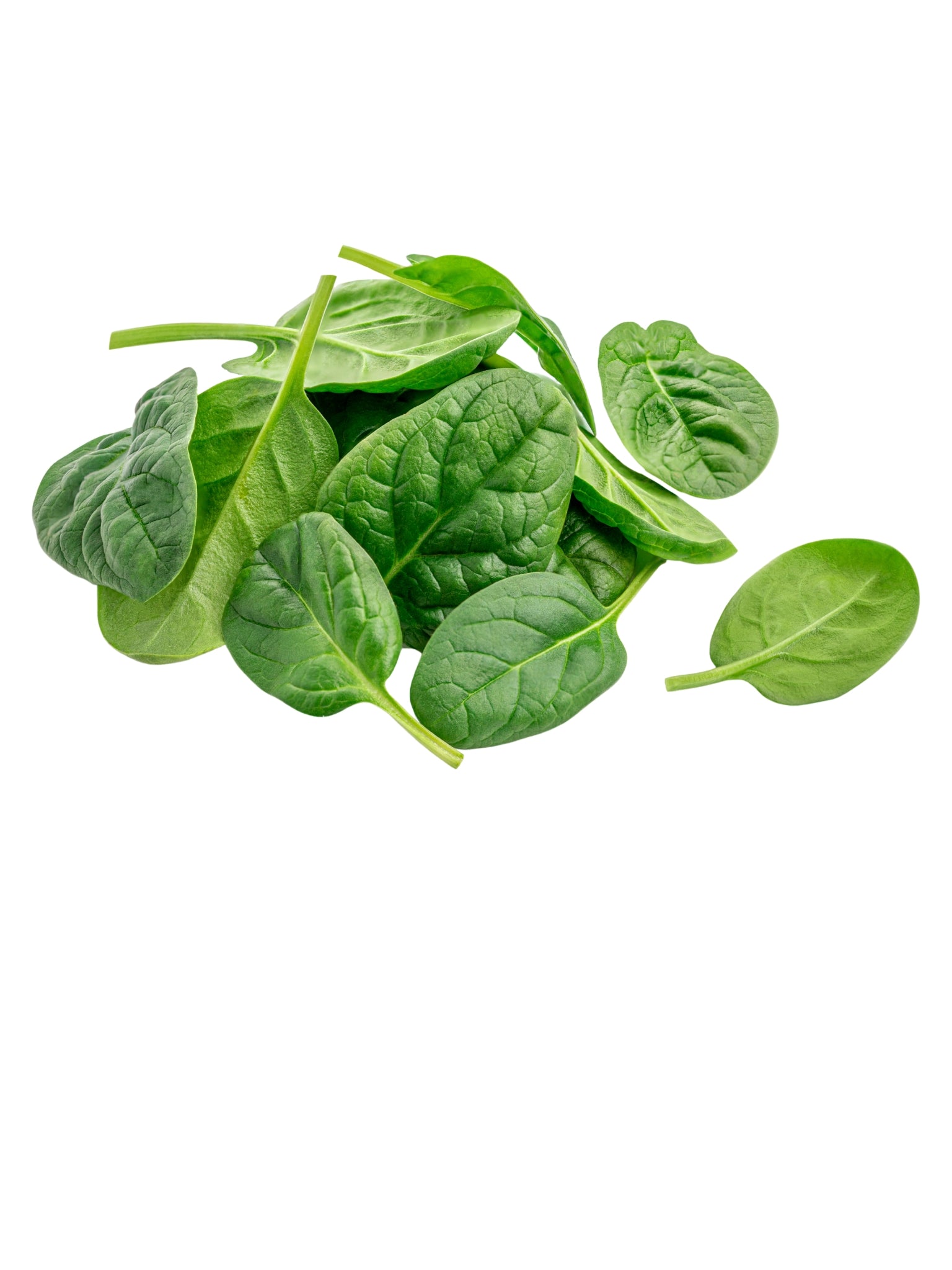 Bunch Spinich