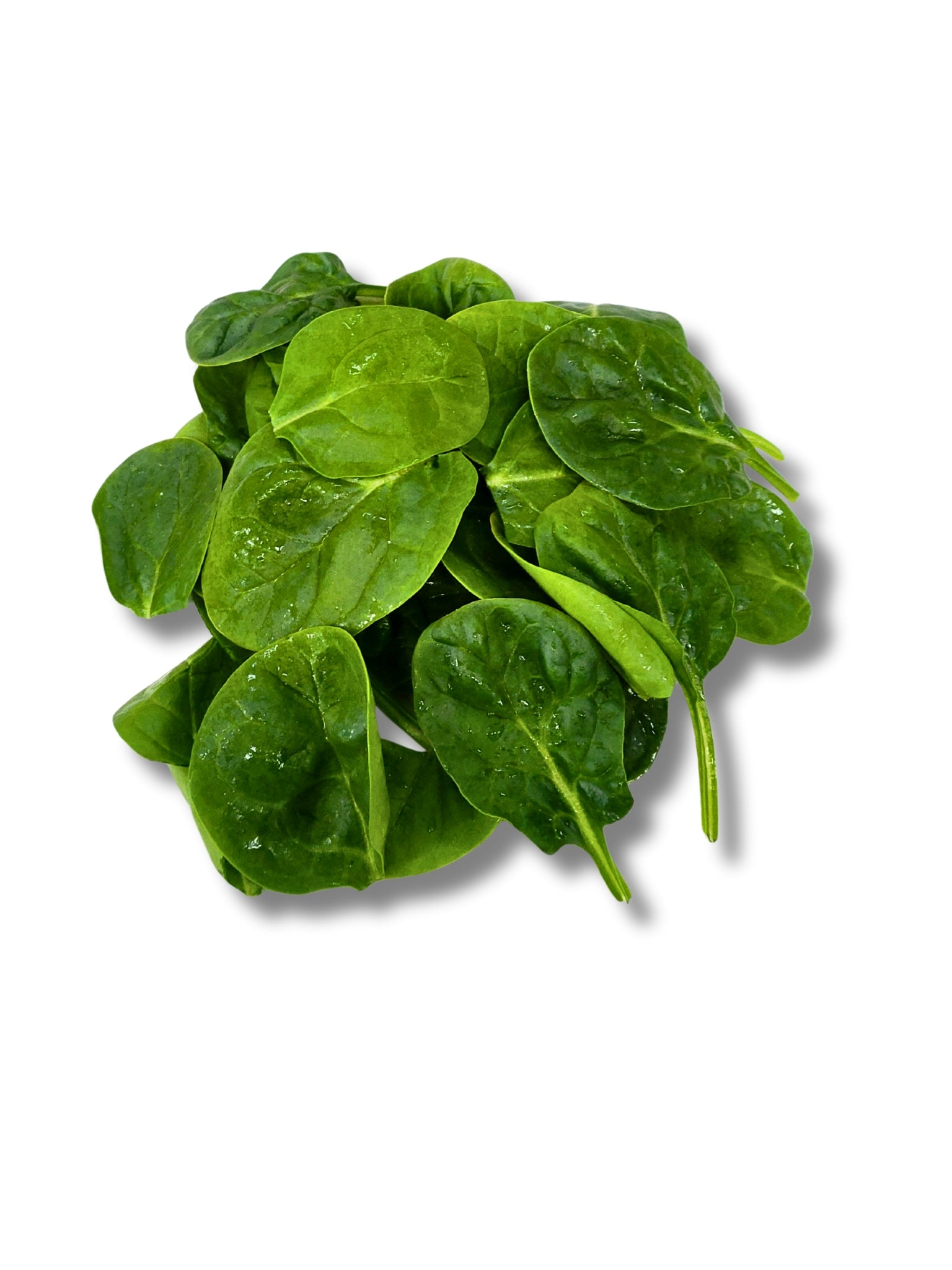 Washed Baby Spinach