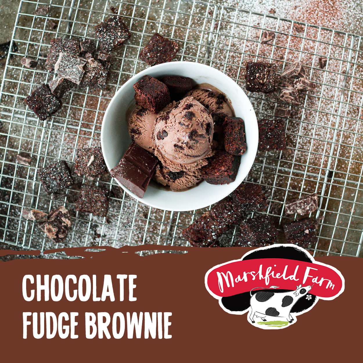 Ice Cream Marshfield Chocolate Fudge Brownie